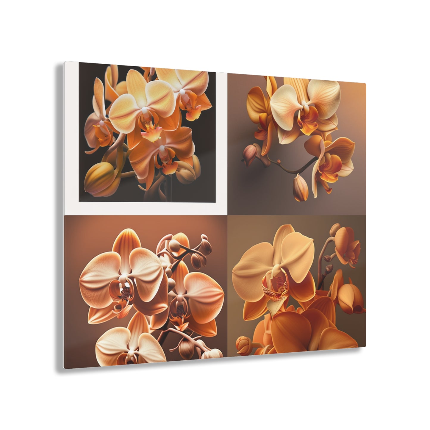 Acrylic Prints orchid pedals 5