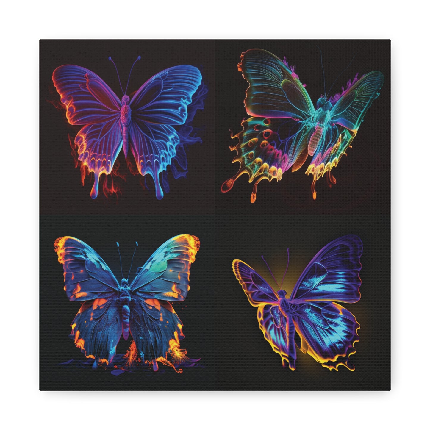 Canvas Gallery Wraps Thermal Butterfly 5