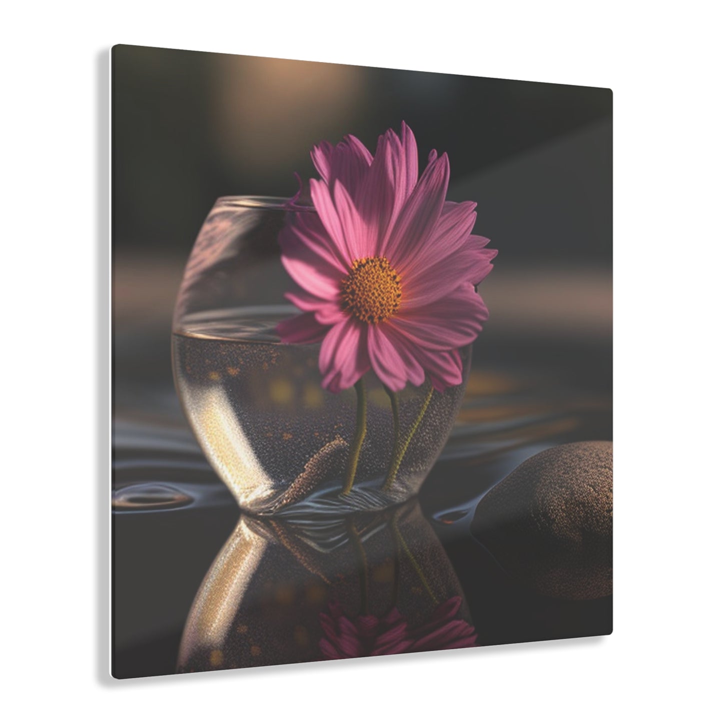 Acrylic Prints Pink Daisy 4