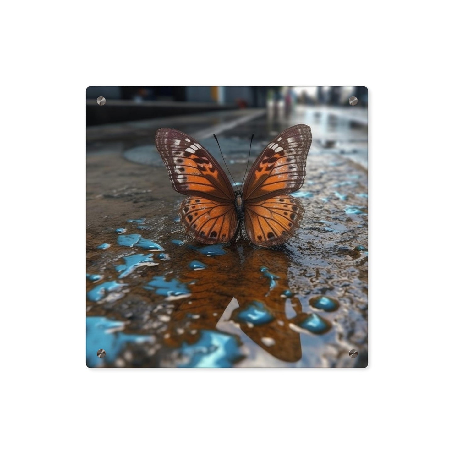 Acrylic Wall Art Panels Water Butterfly Street 2