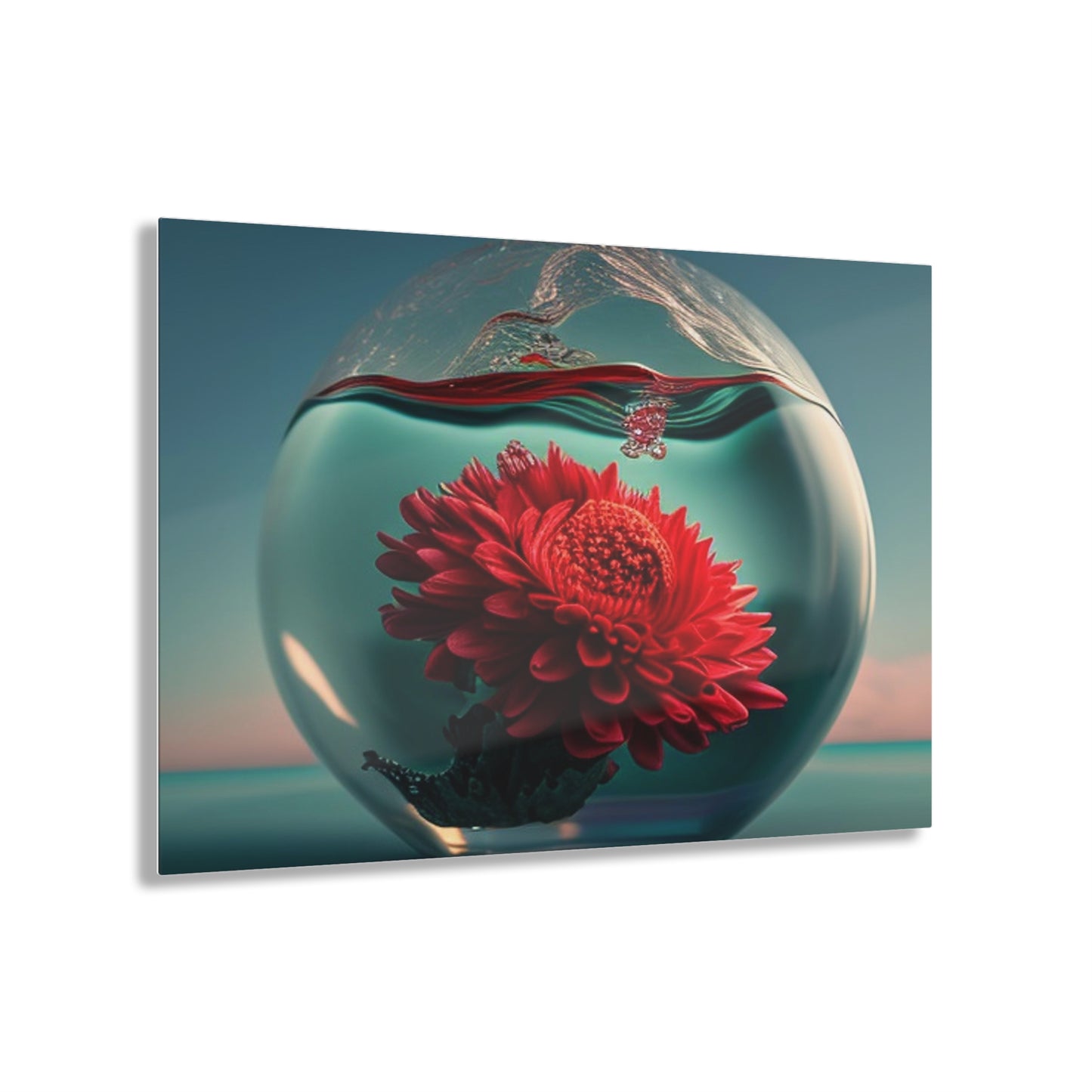 Acrylic Prints Chrysanthemum 4