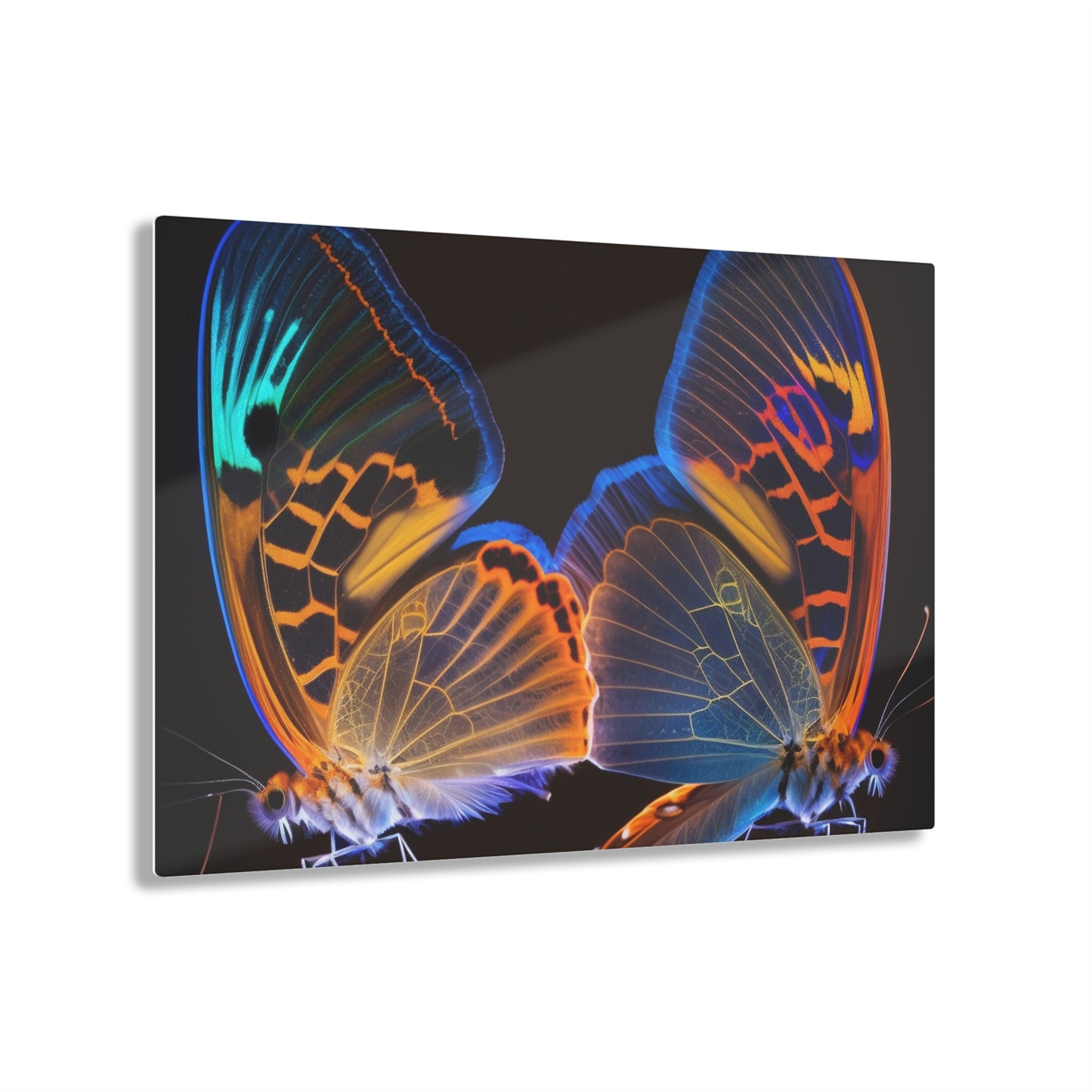 Acrylic Prints Neon Glo Butterfly 2