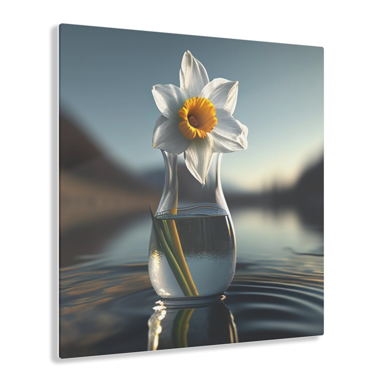 Acrylic Prints Daffodil 3