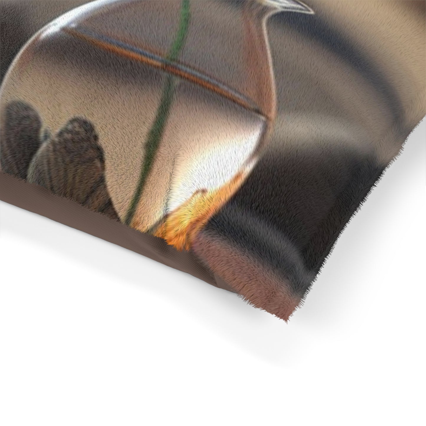 Pet Bed Poppy in a Glass Vase 1