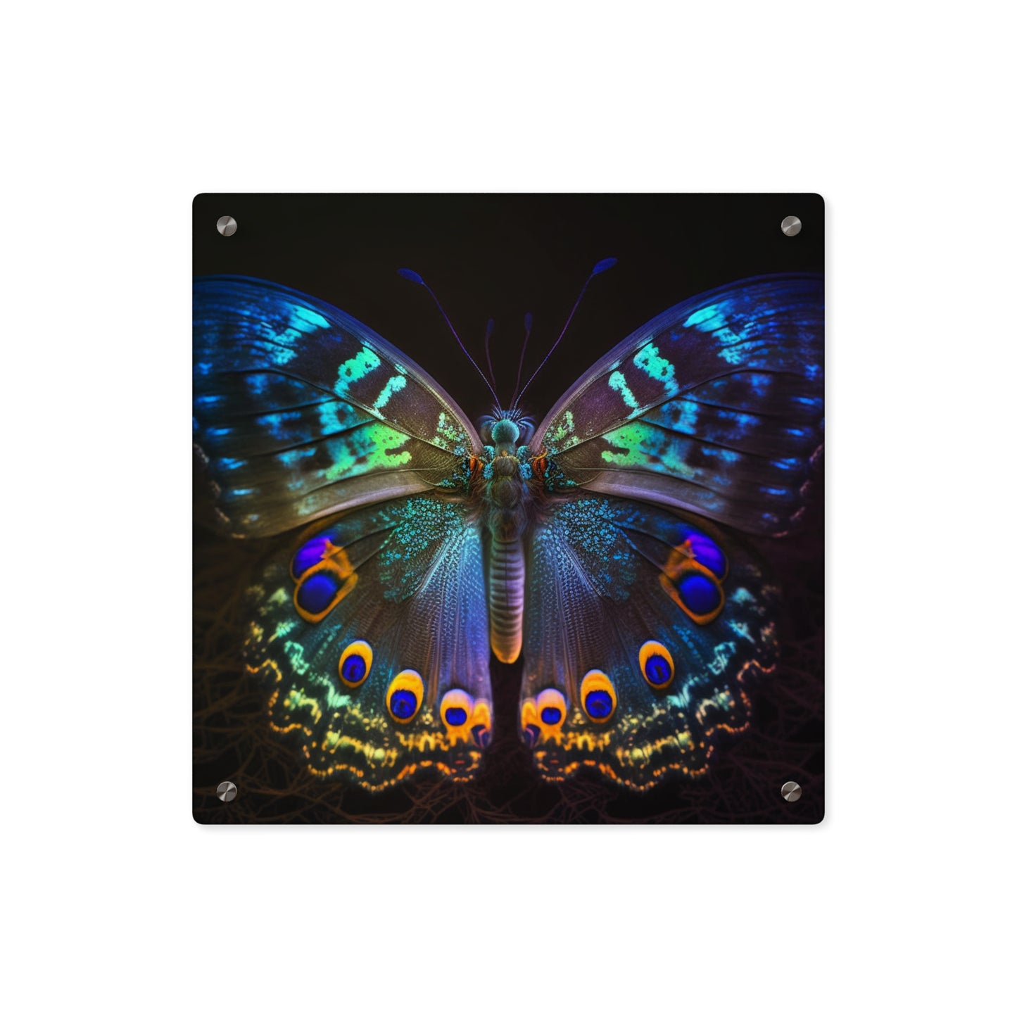 Acrylic Wall Art Panels Neon Hue Butterfly 3