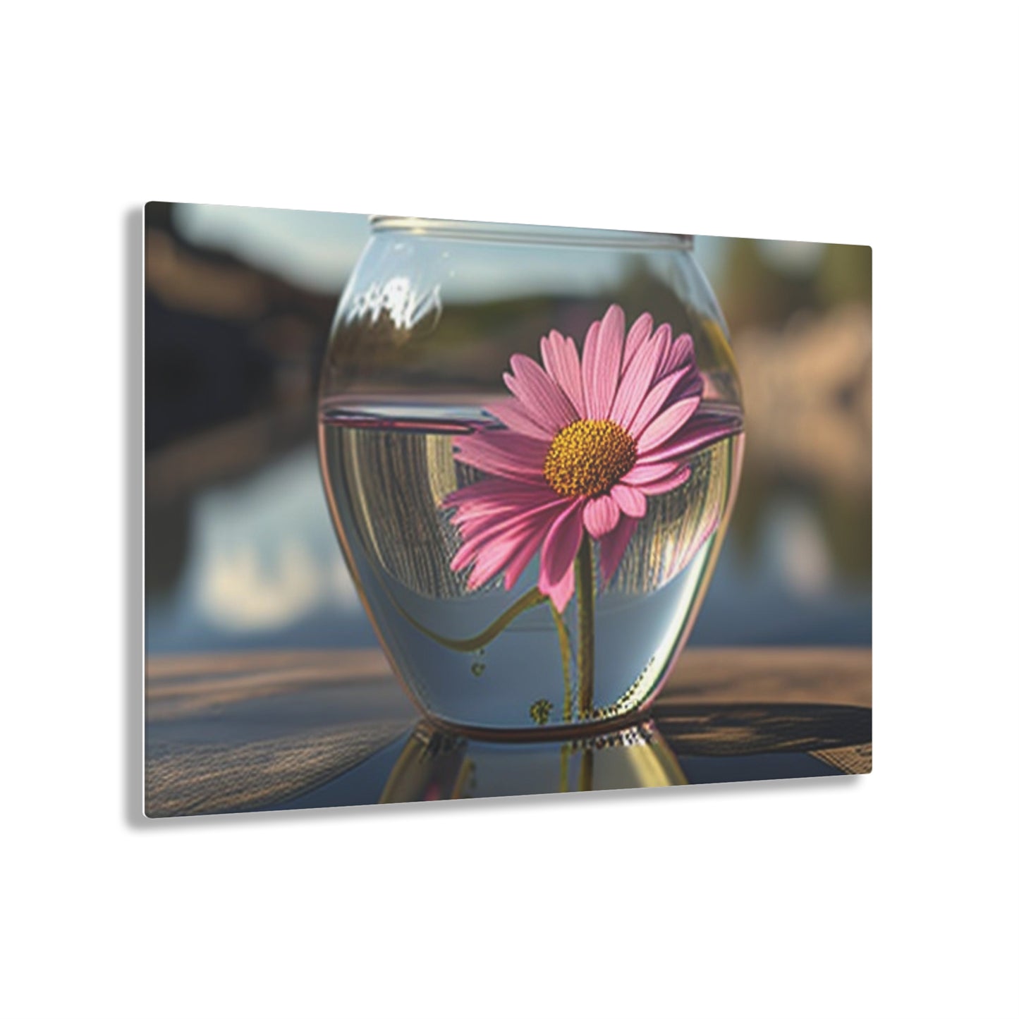 Acrylic Prints Pink Daisy 3