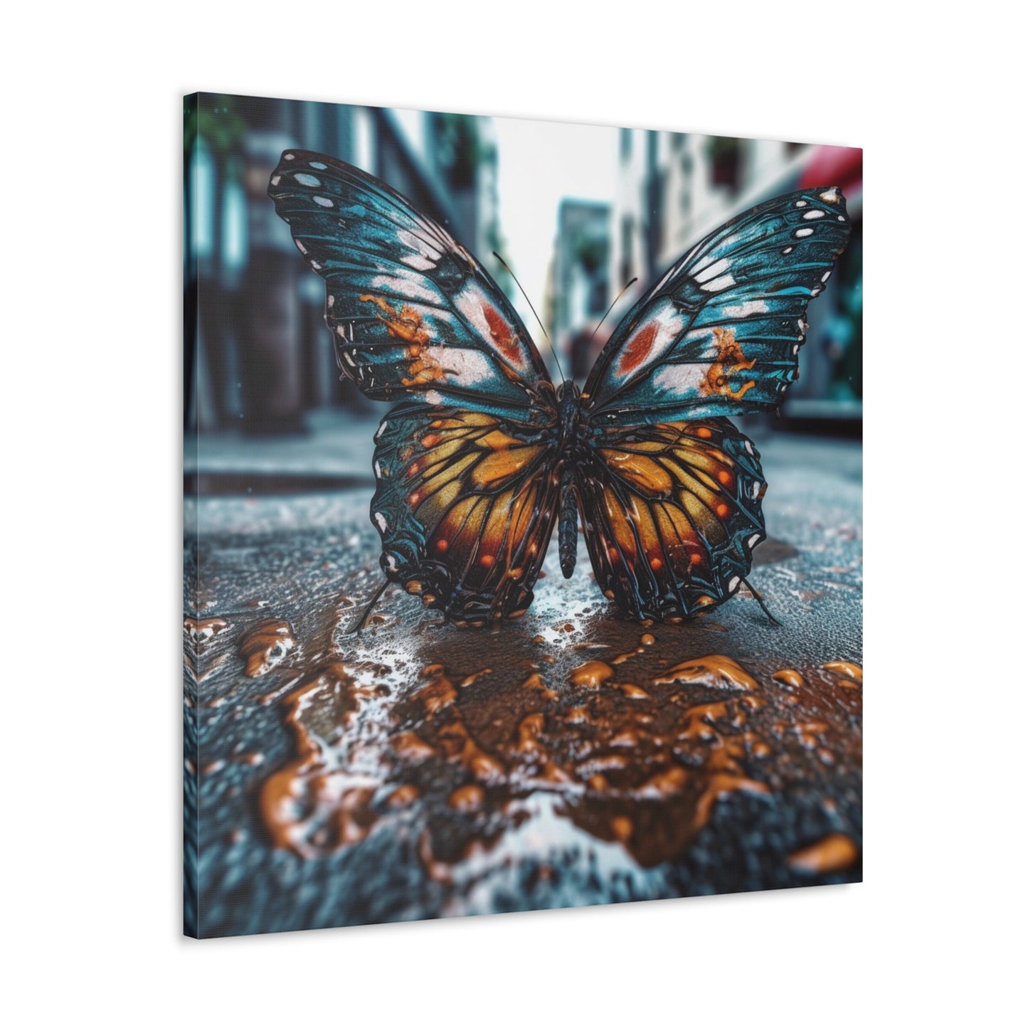 Canvas Gallery Wraps Water Butterfly Street 3