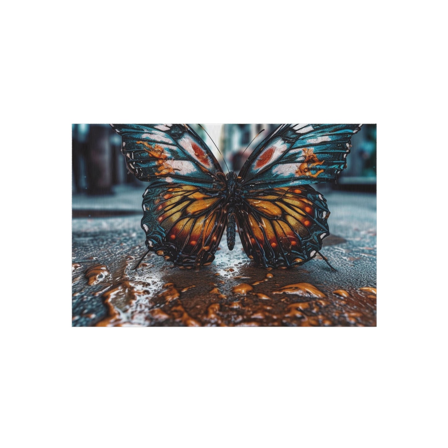 Outdoor Rug  Water Butterfly Street 3