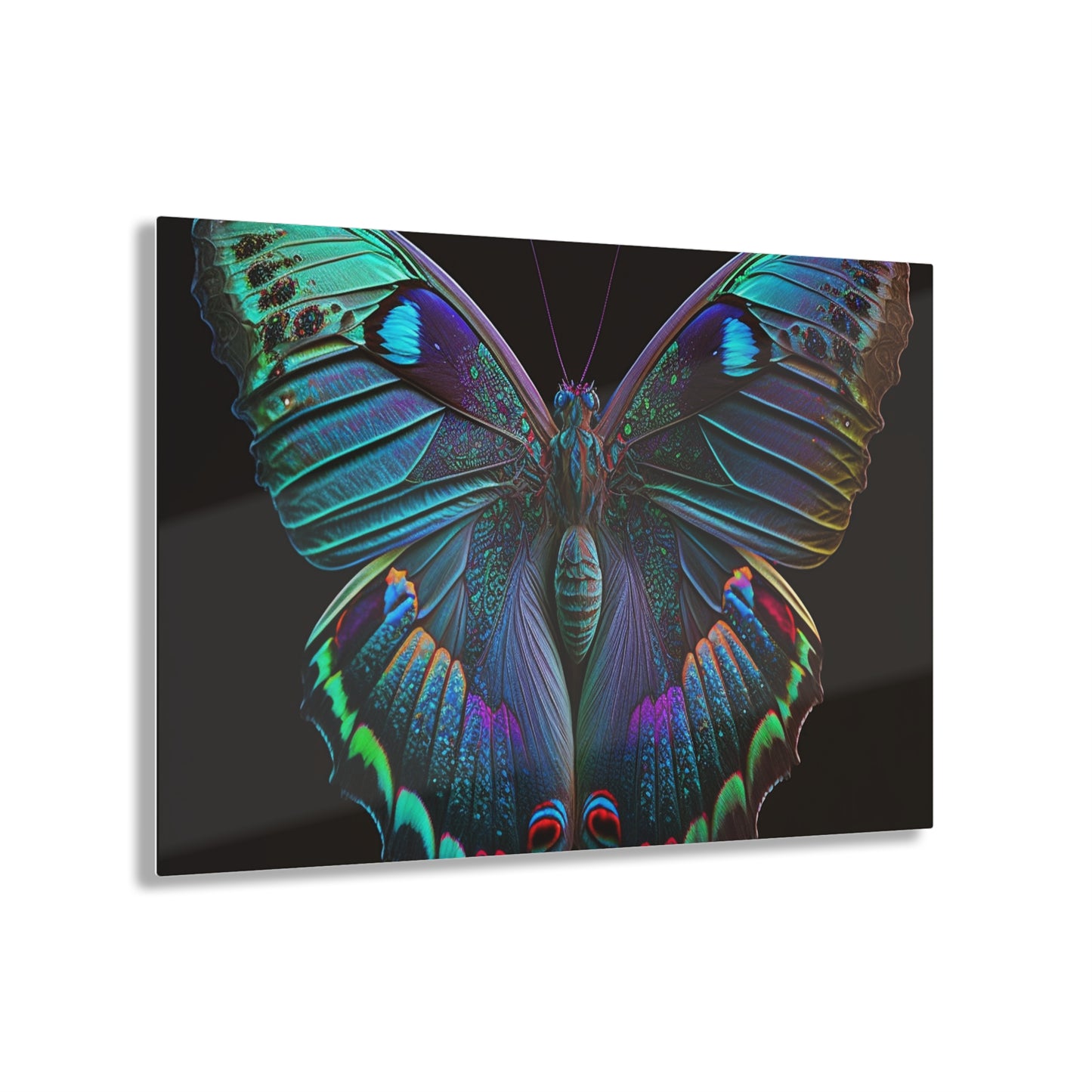 Acrylic Prints Hue Neon Butterfly 4