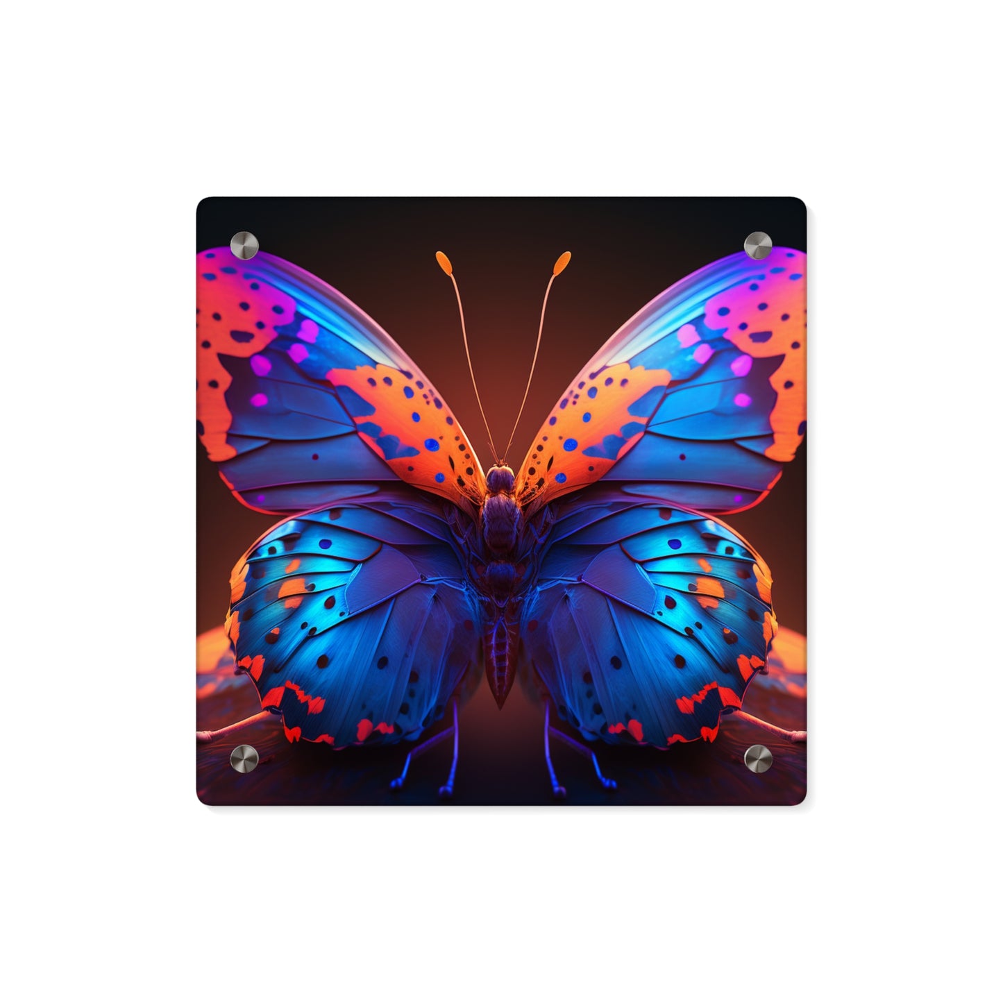 Acrylic Wall Art Panels Neon Butterfly Macro 3