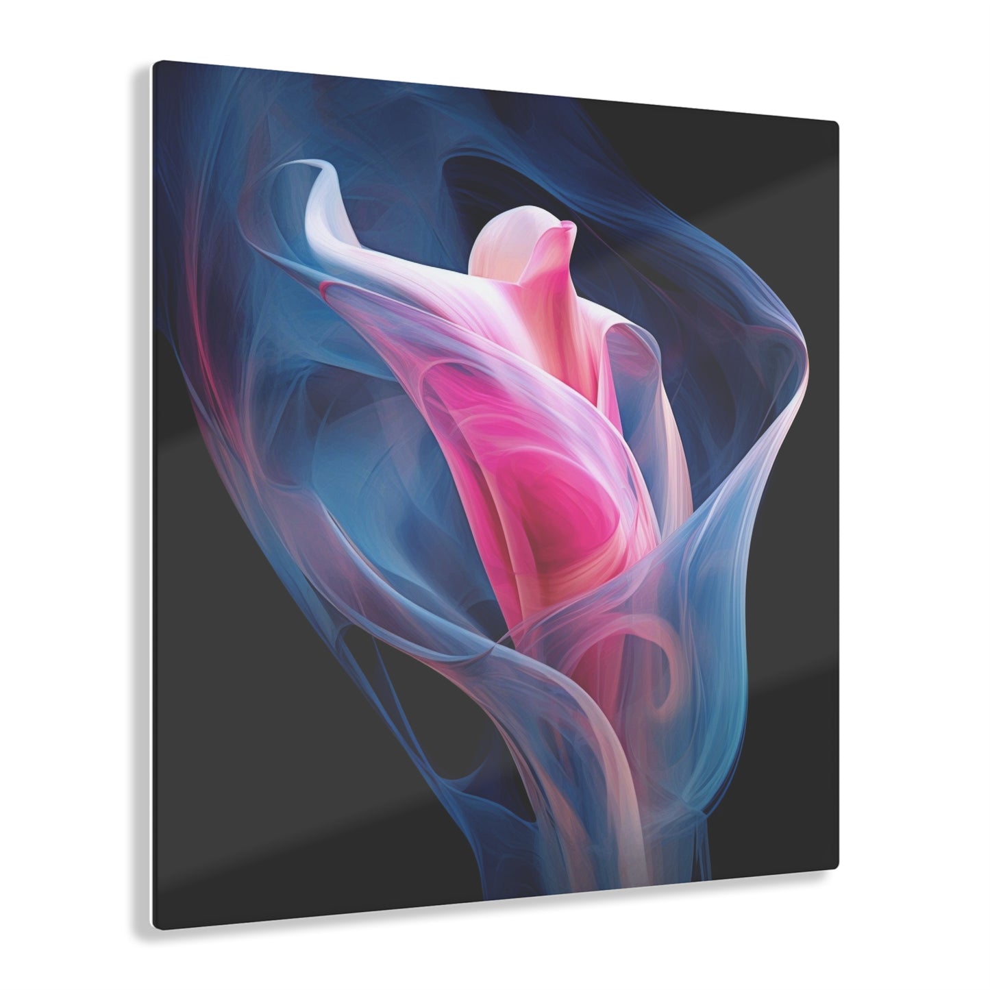 Acrylic Prints Pink & Blue Tulip Rose 3