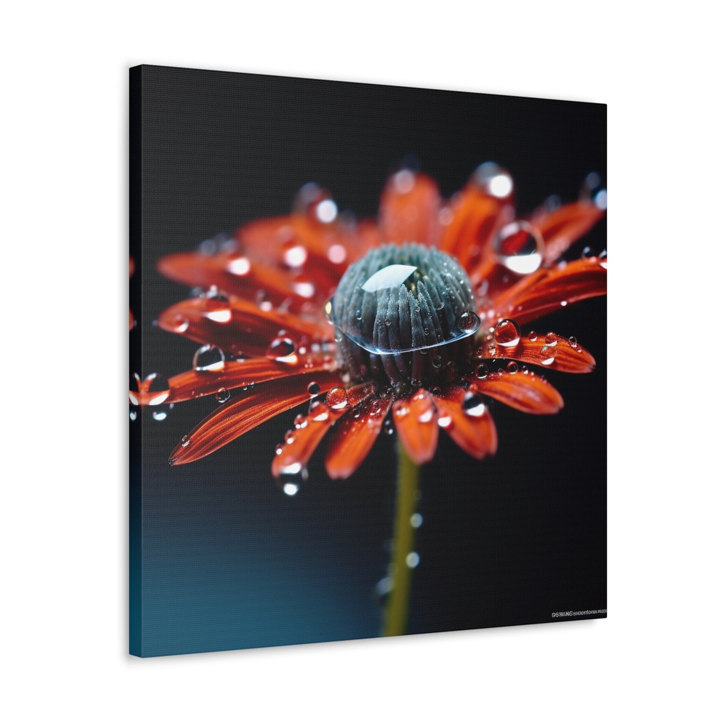 Canvas Gallery Wraps Water drop Macro Flower 1