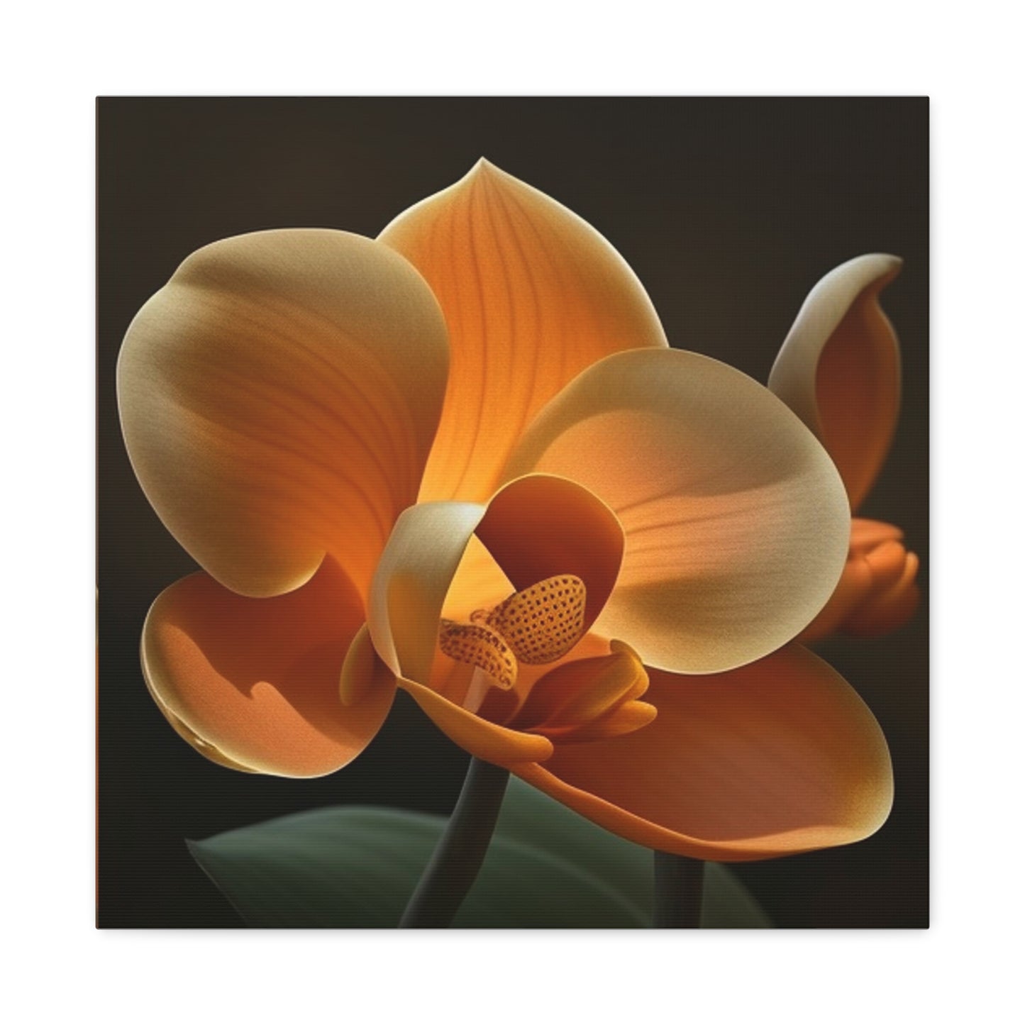 Canvas Gallery Wraps Orange Orchid 4