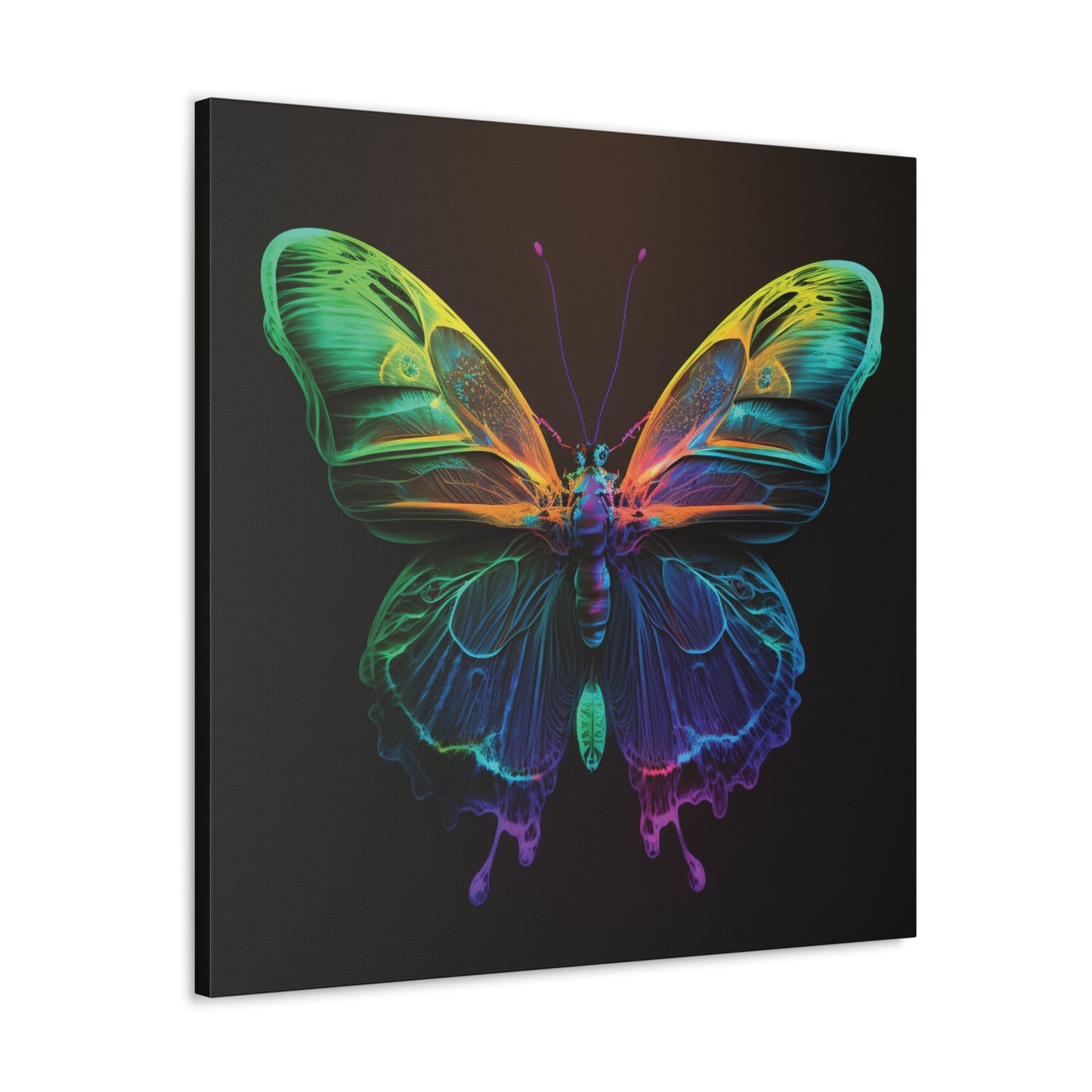 Canvas Gallery Wraps Raw Hyper Color Butterfly 3