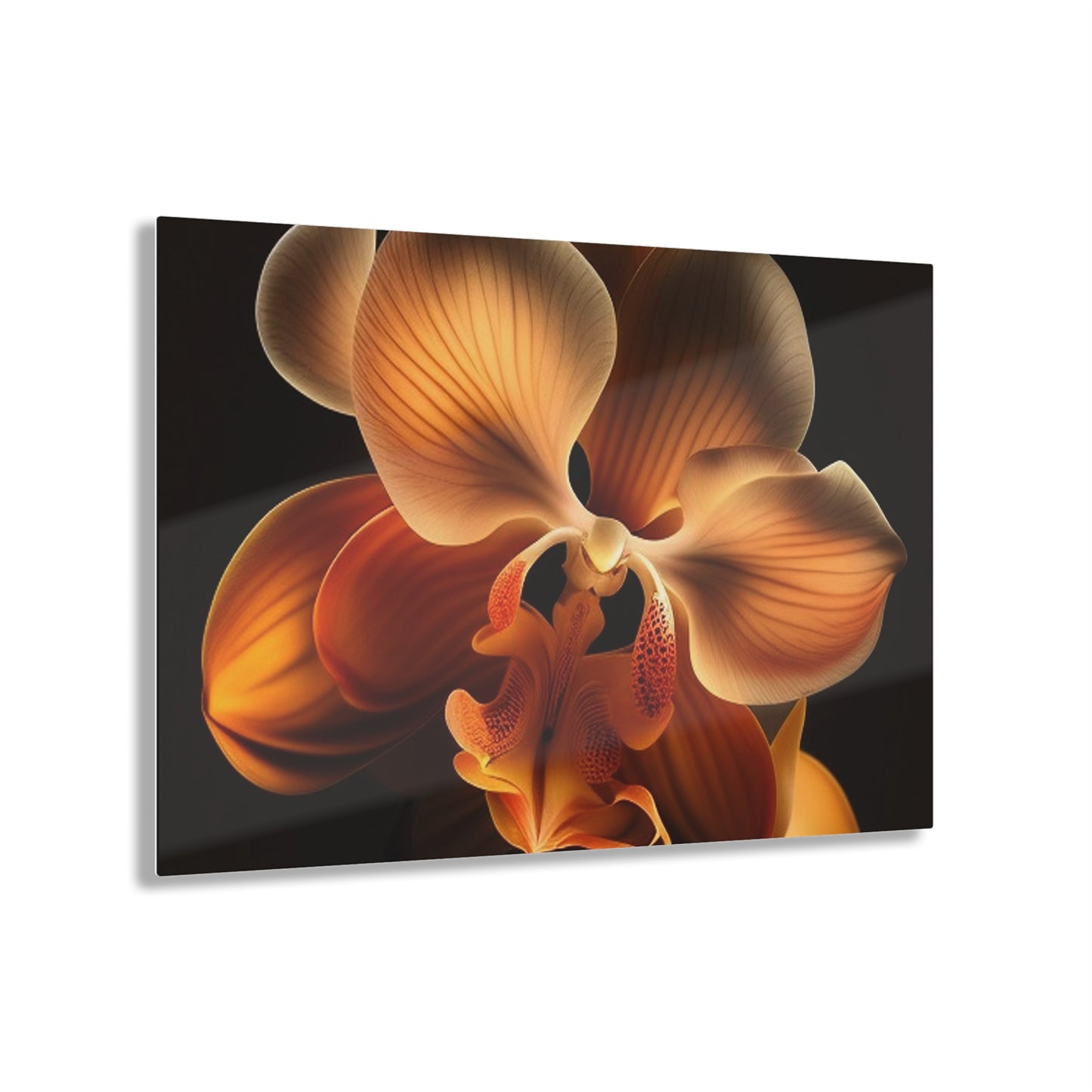 Acrylic Prints Orange Orchid 2