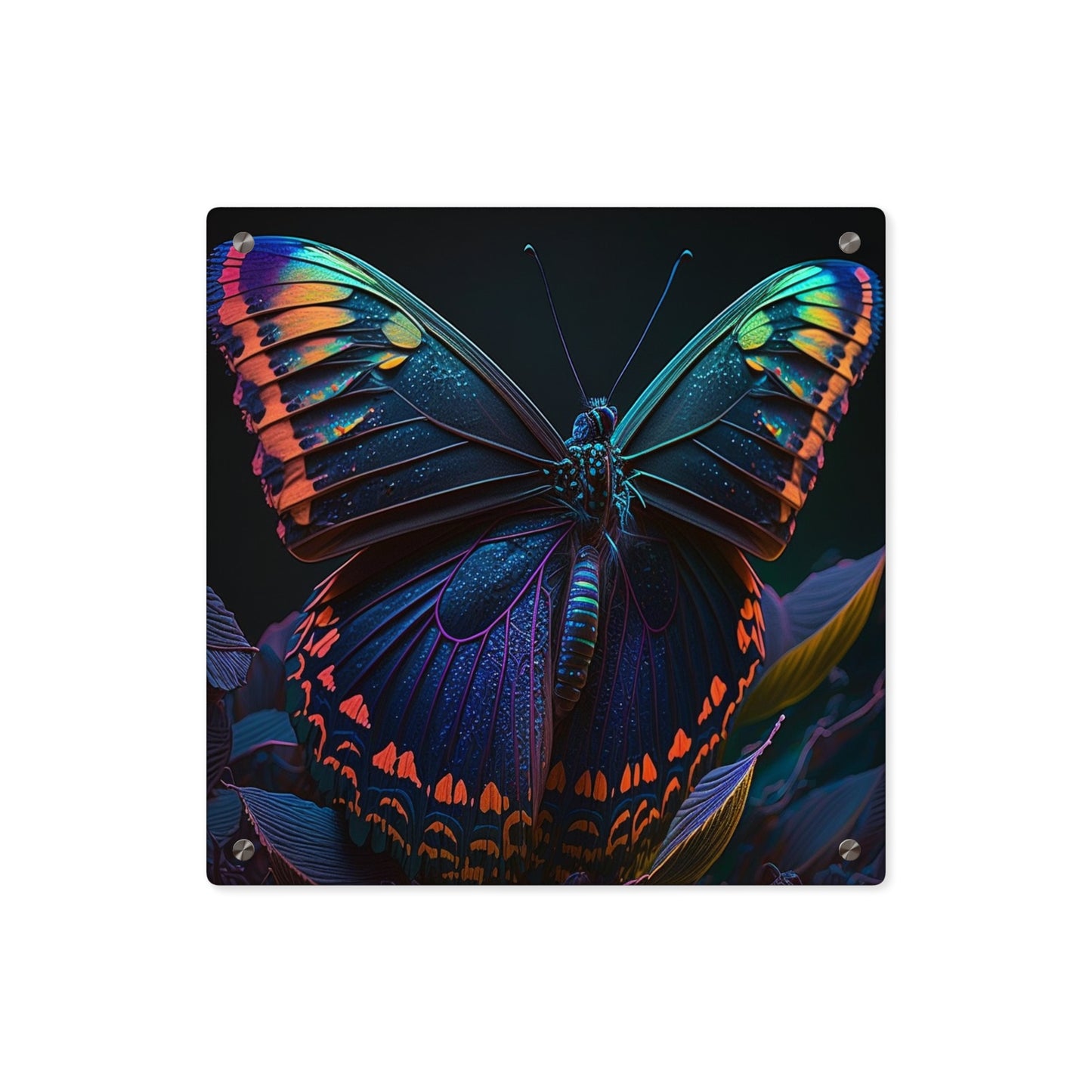 Acrylic Wall Art Panels Hue Neon Butterfly 3