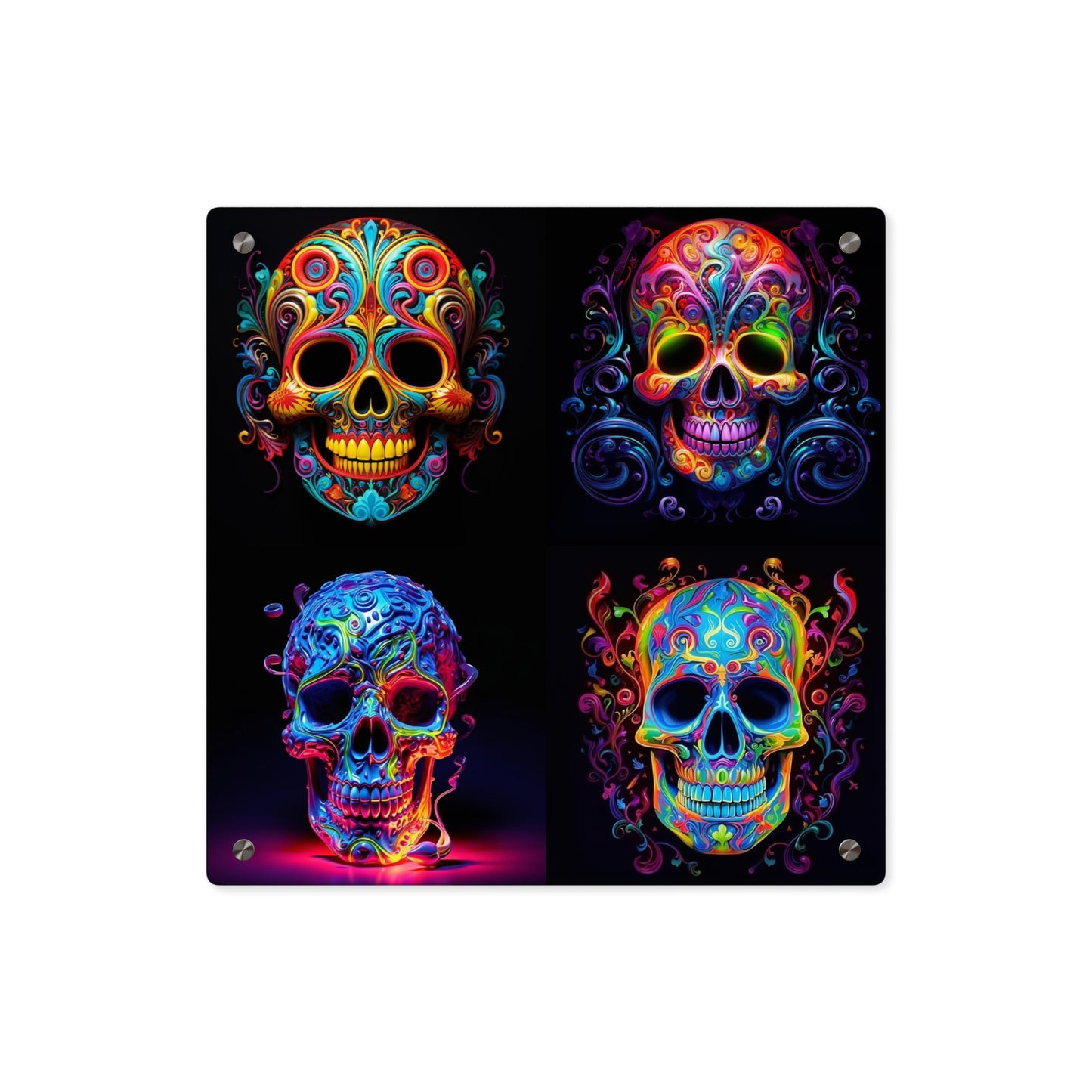 Acrylic Wall Art Panels Macro Skull Color 5