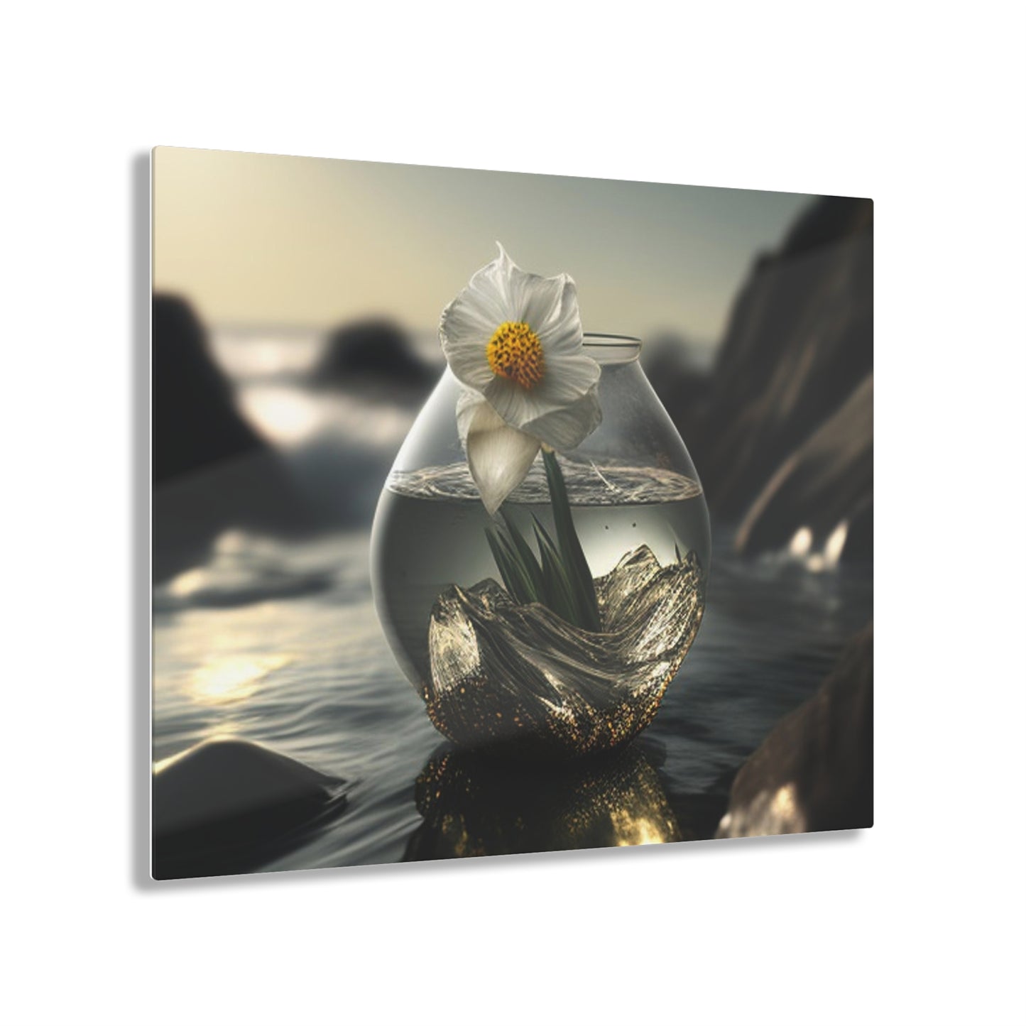 Acrylic Prints Daffodil 1