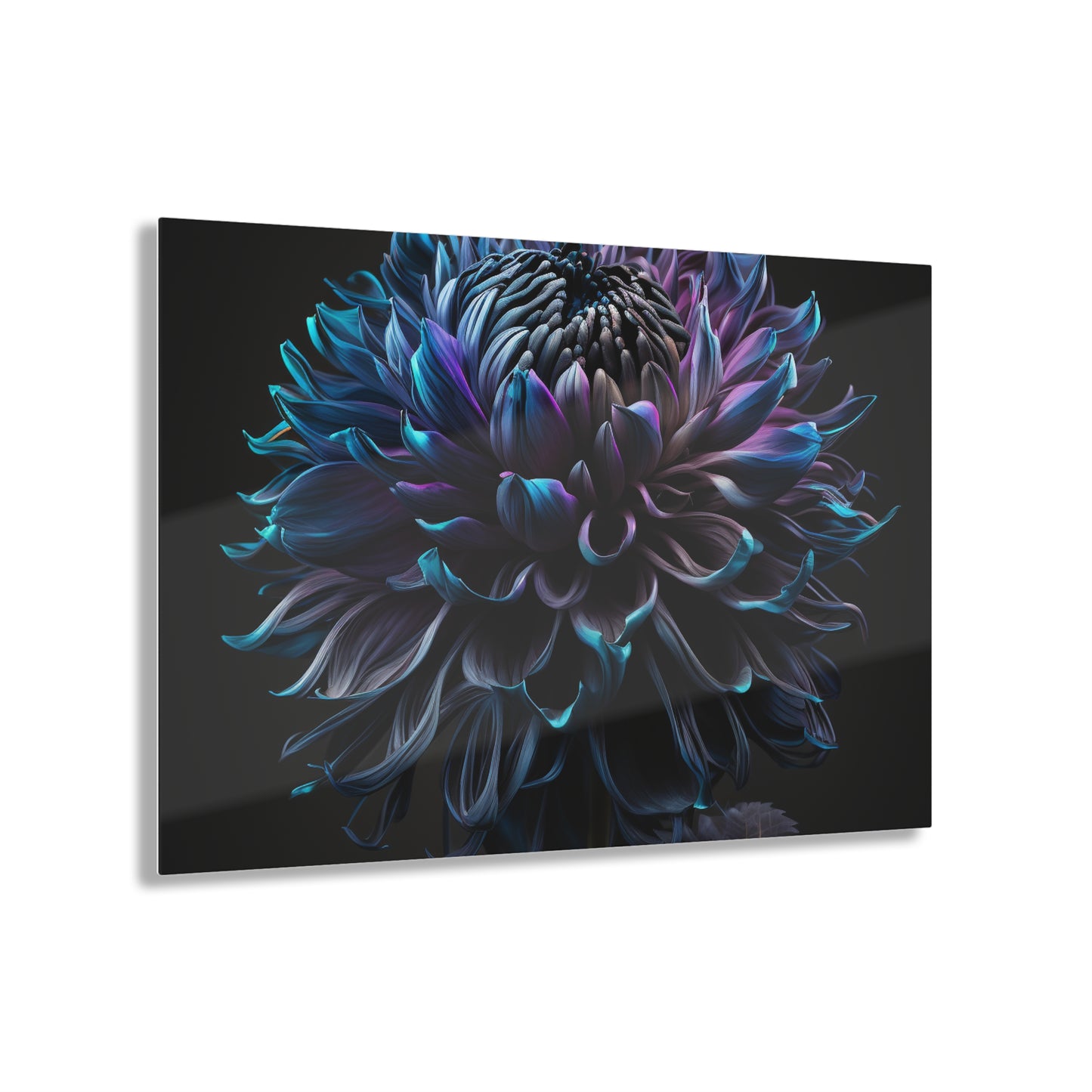 Acrylic Prints Dahlia Purple 3