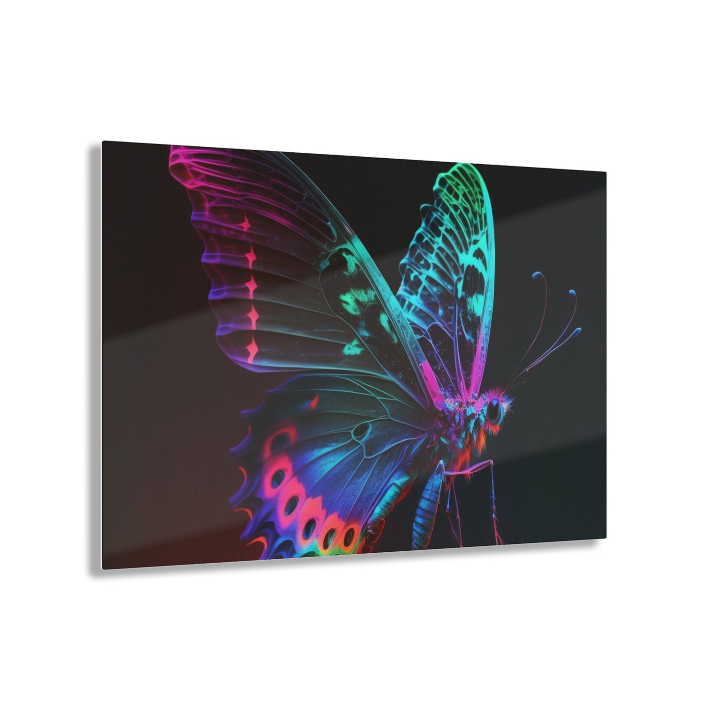 Acrylic Prints Raw Hyper Color Butterfly 1