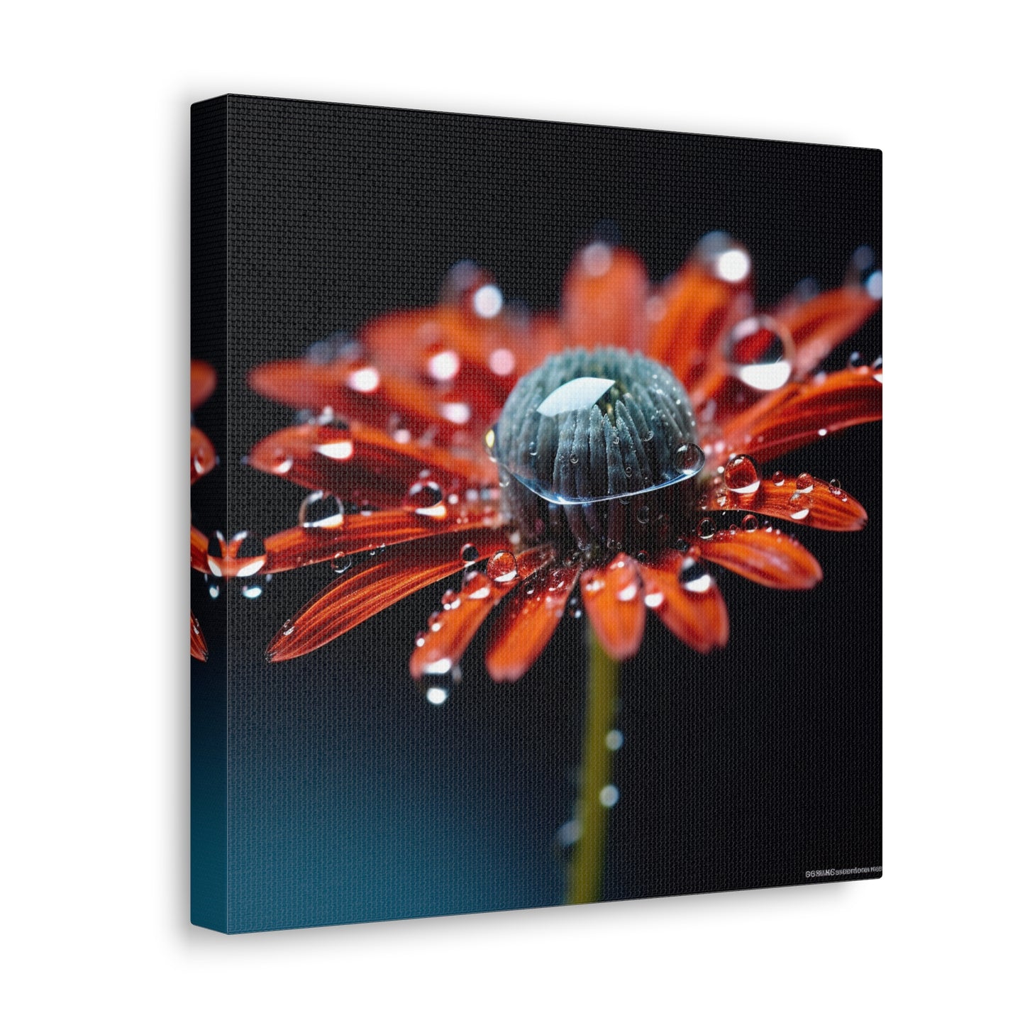 Canvas Gallery Wraps Water drop Macro Flower 1