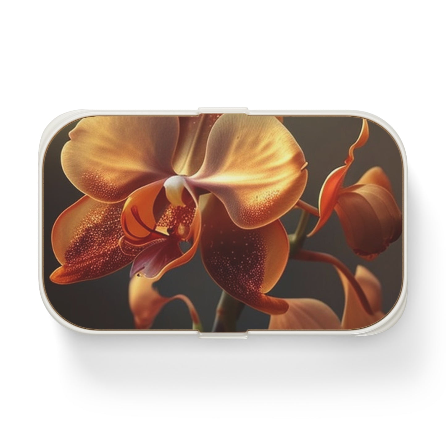 Bento Lunch Box Orange Orchid 1