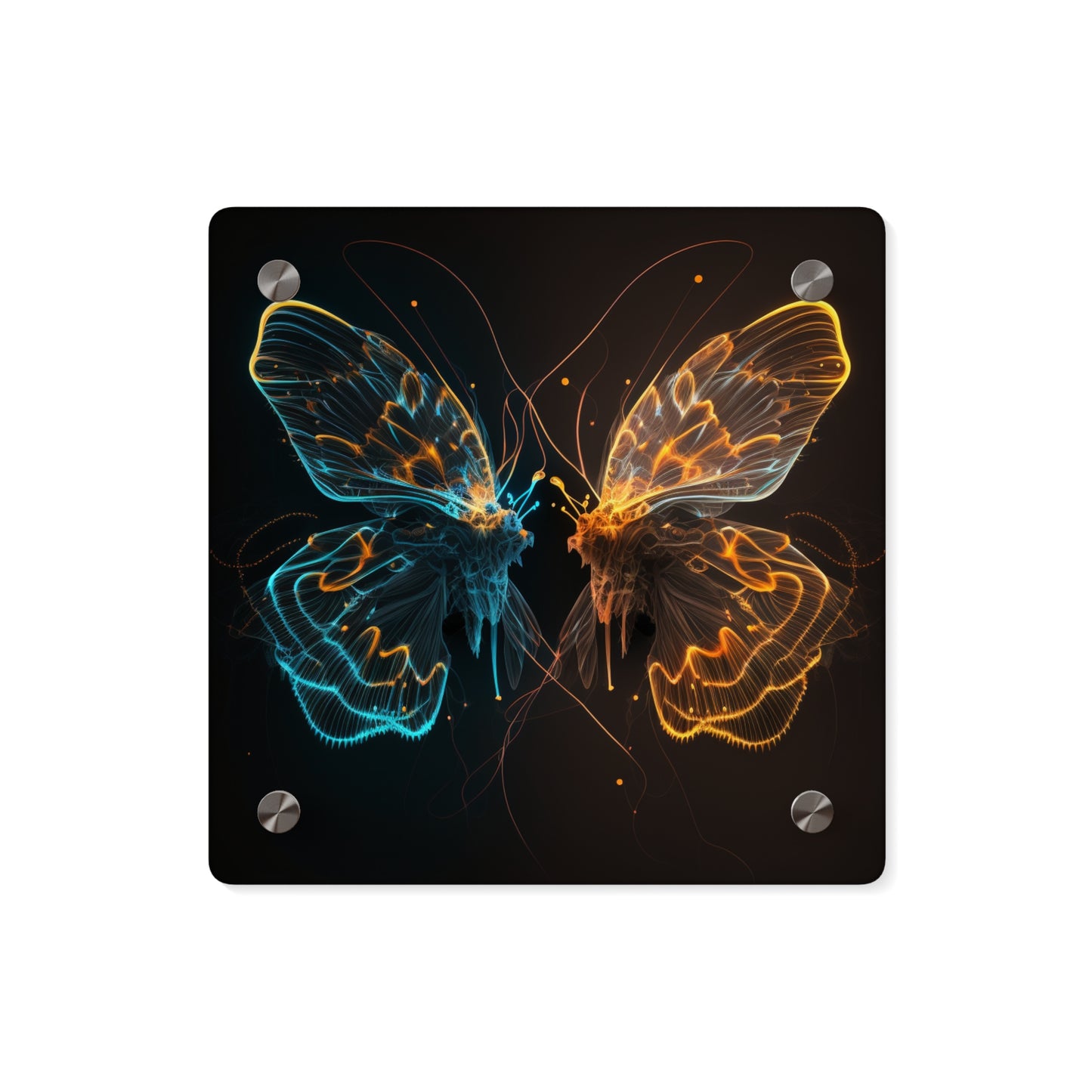 Acrylic Wall Art Panels Neon Glo Butterfly 1