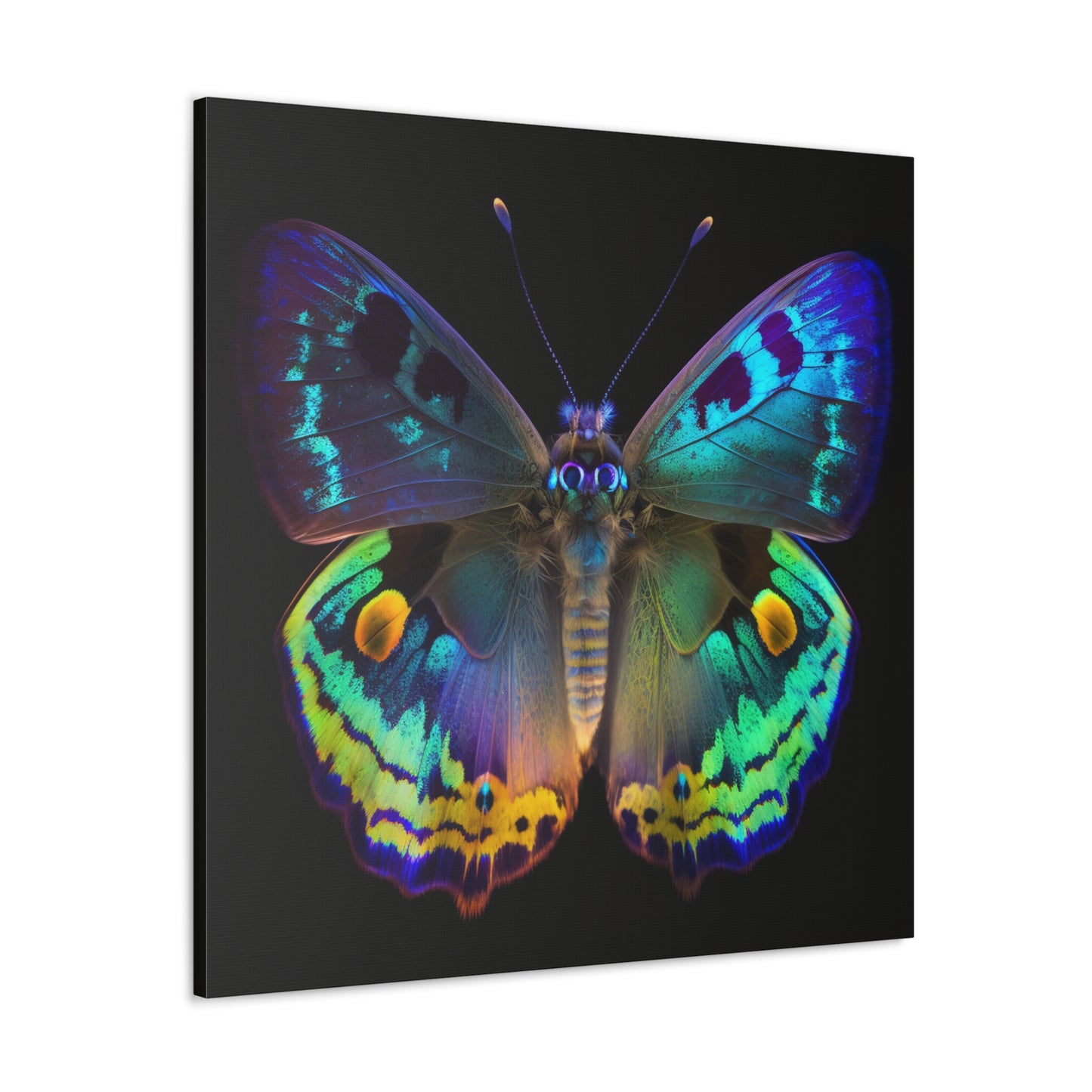 Canvas Gallery Wraps Neon Hue Butterfly 4