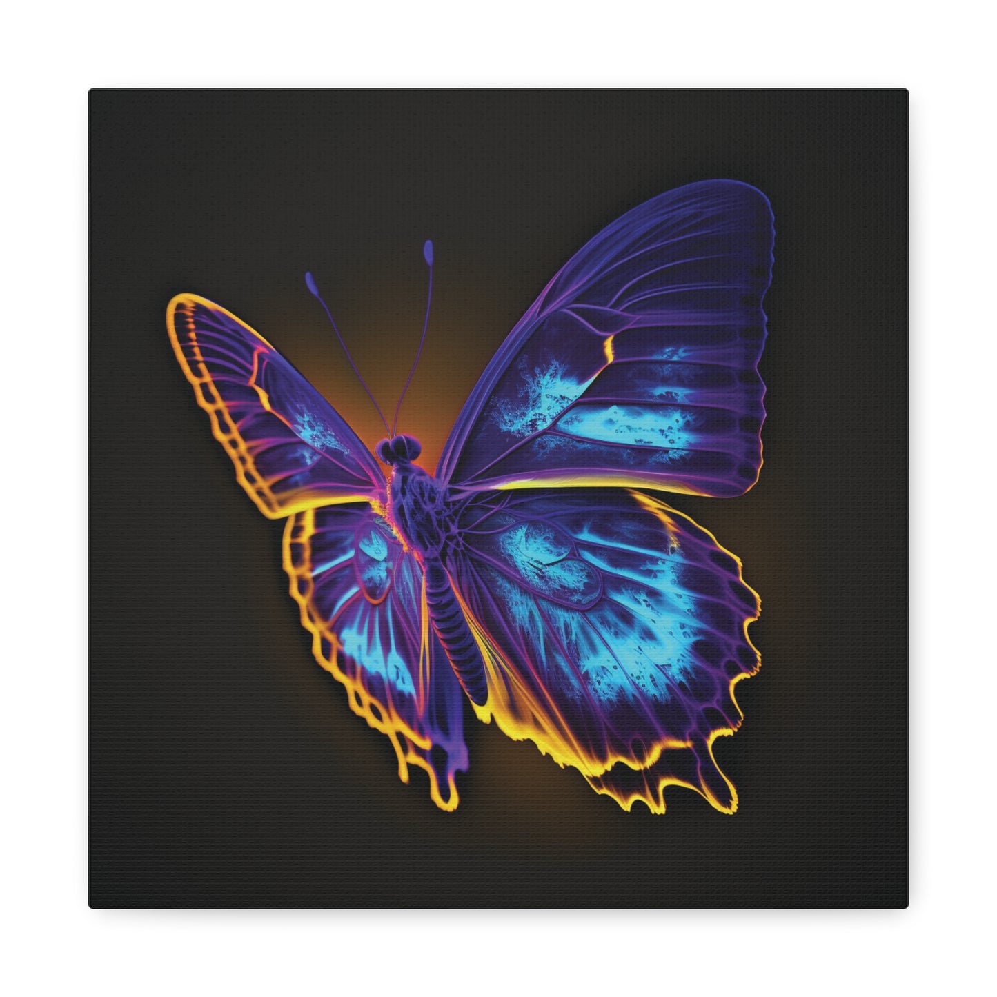 Canvas Gallery Wraps Thermal Butterfly 4