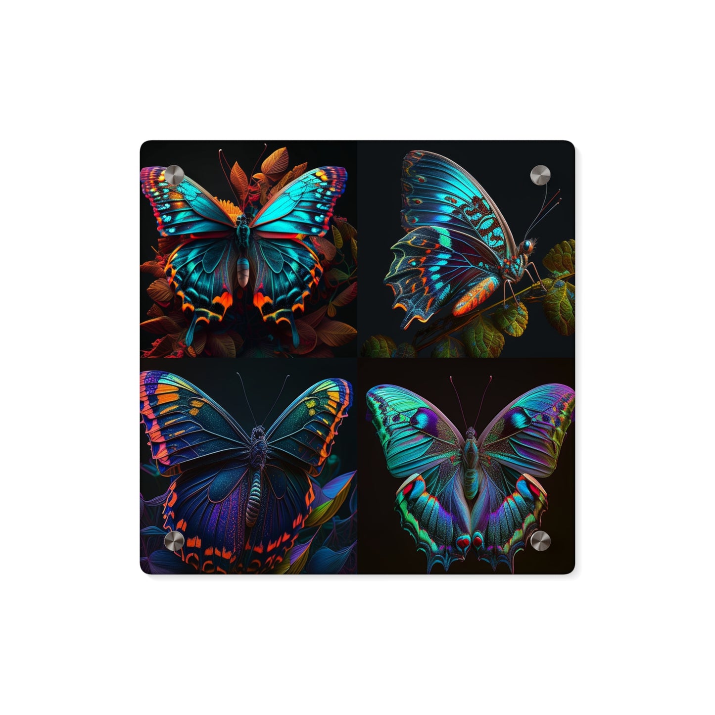 Acrylic Wall Art Panels Hue Neon Butterfly 5