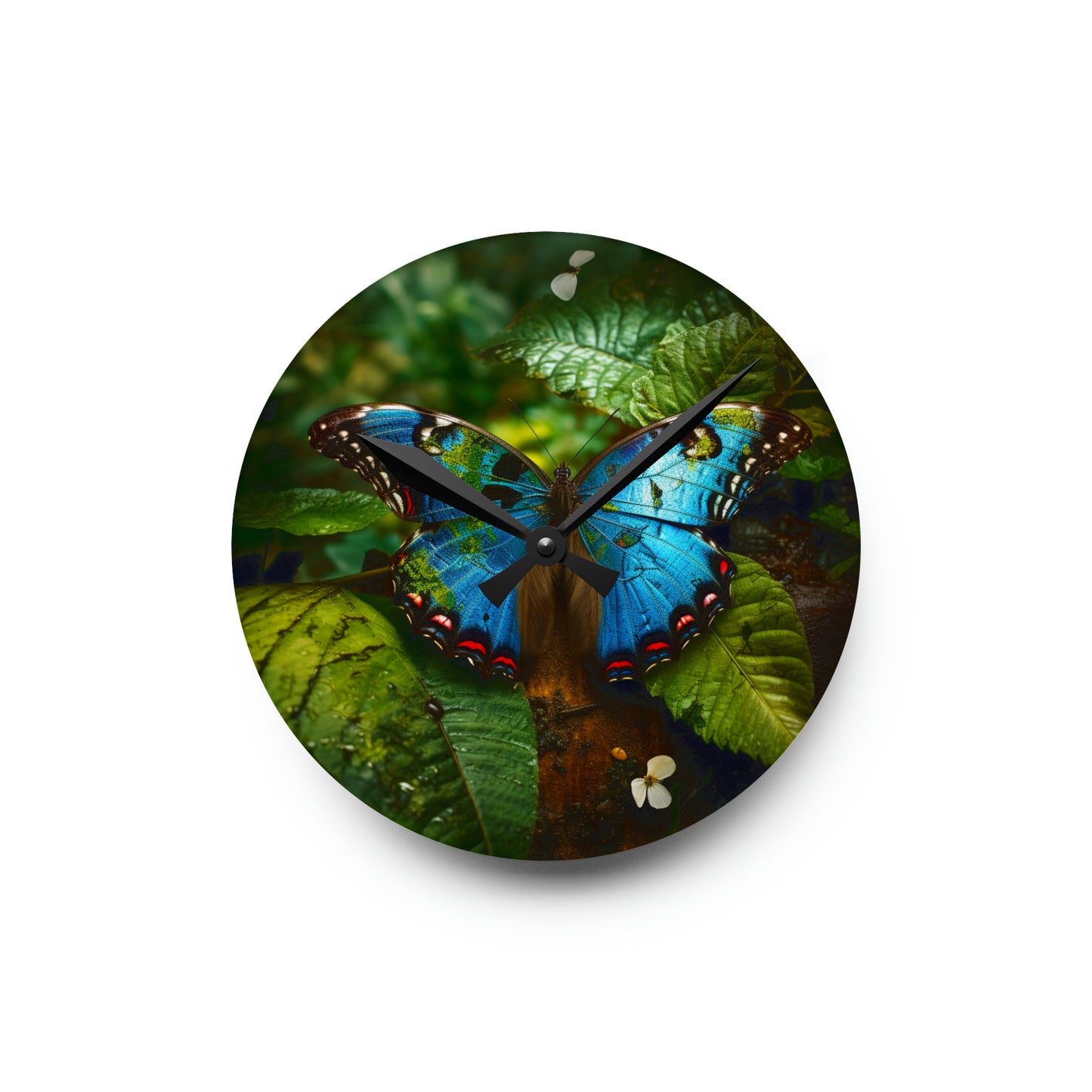 Acrylic Wall Clock Jungle Butterfly 2