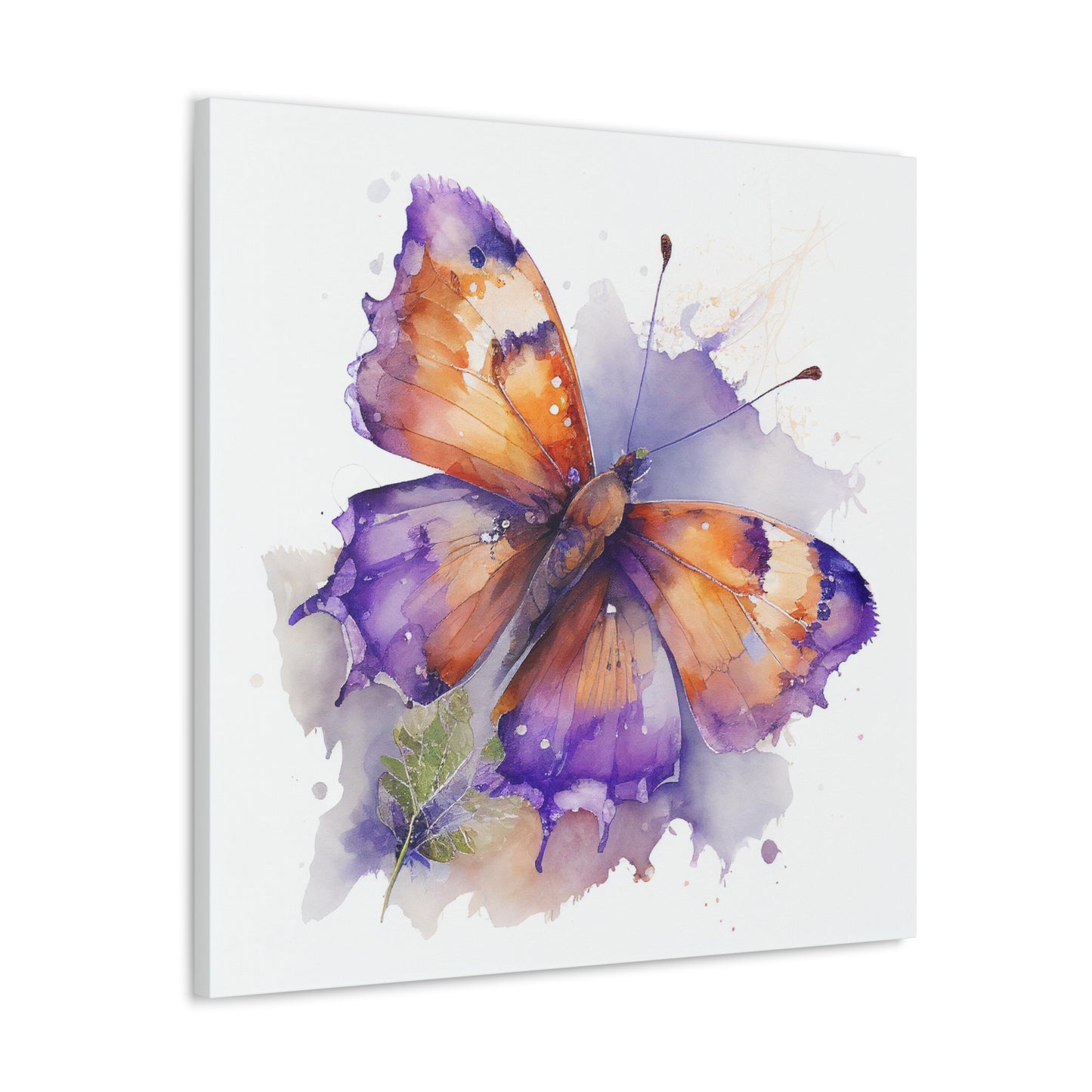 Canvas Gallery Wraps MerlinRose Watercolor Butterfly 2