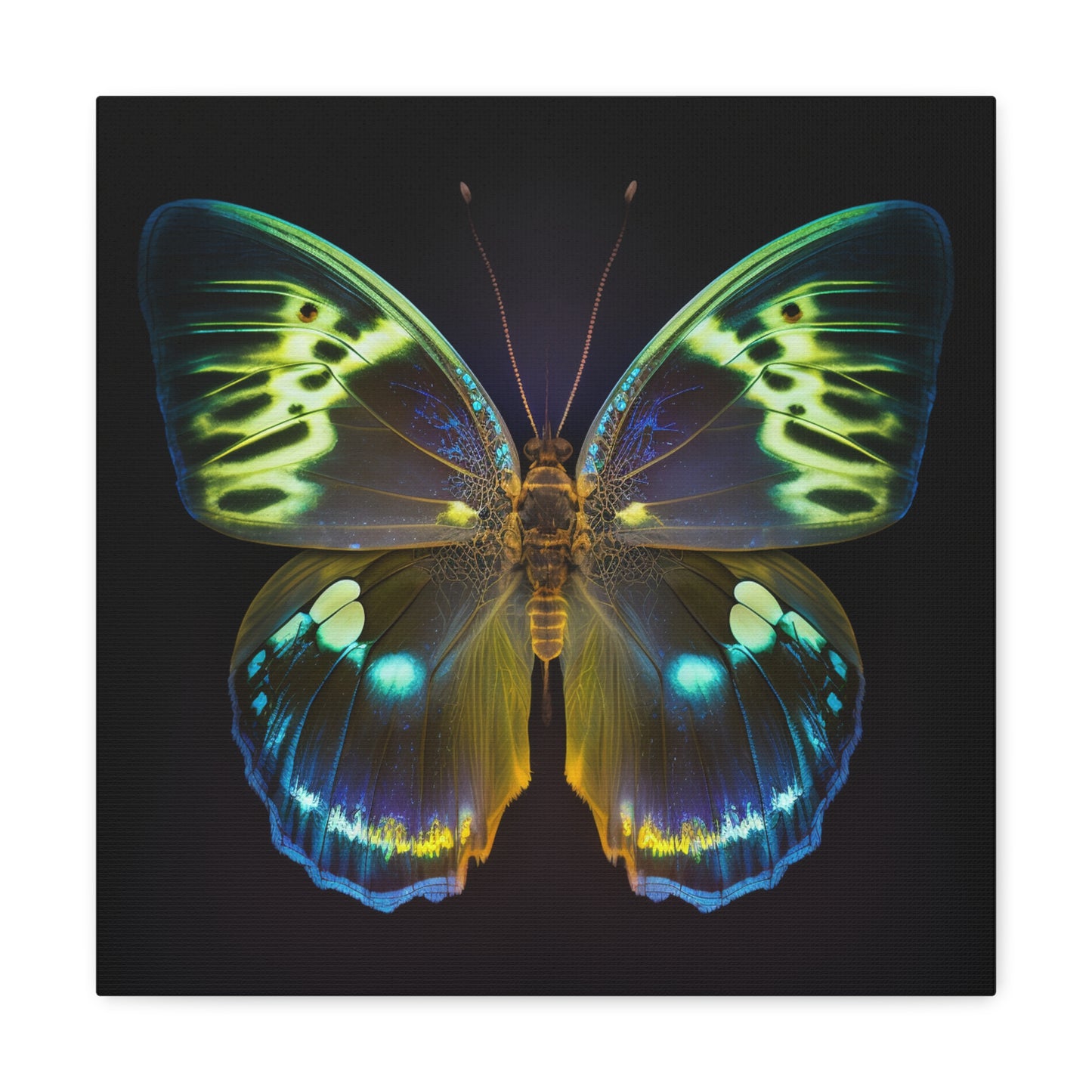 Canvas Gallery Wraps Neon Hue Butterfly 1