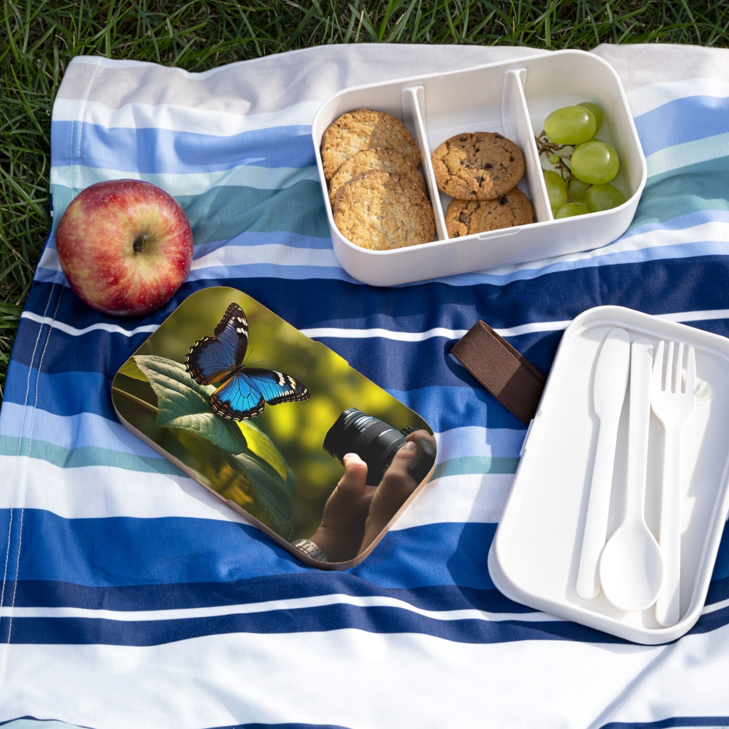 Bento Lunch Box Jungle Butterfly 3