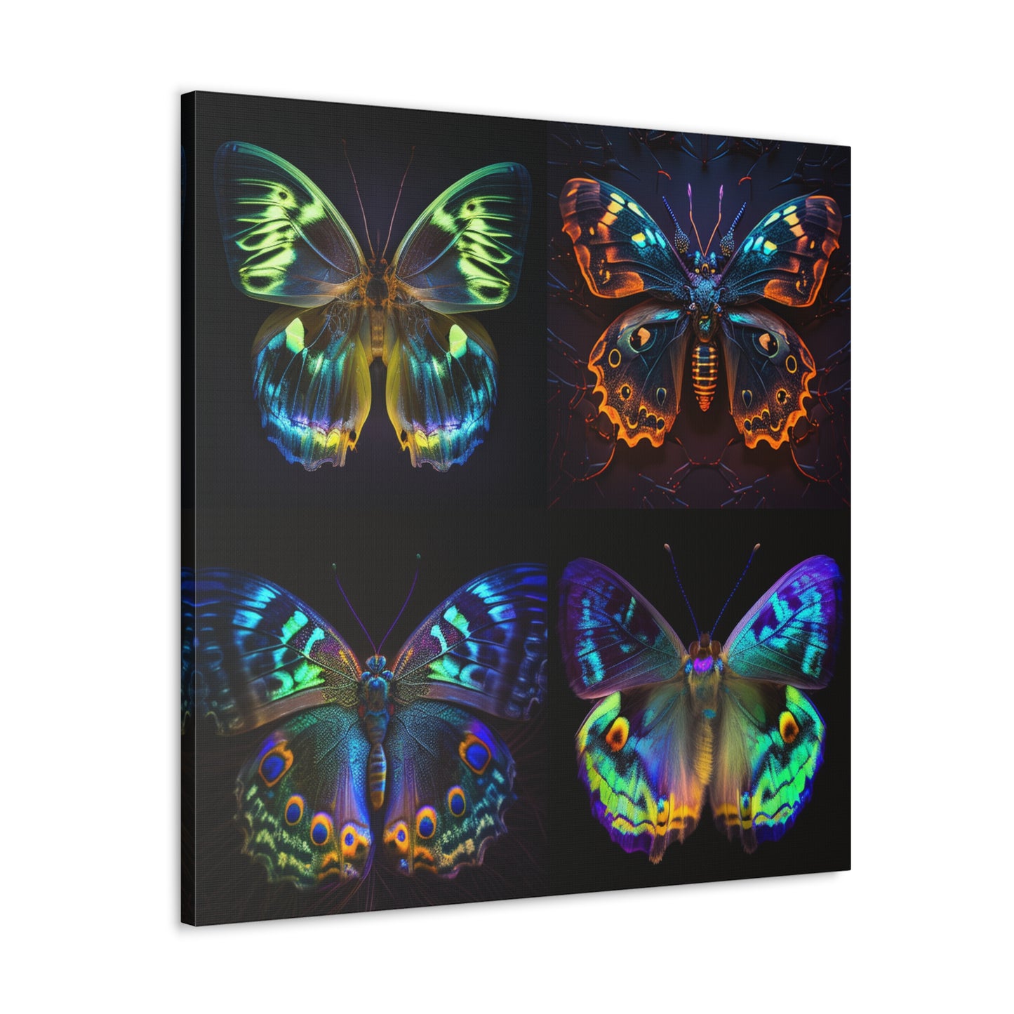 Canvas Gallery Wraps Neon Hue Butterfly 5