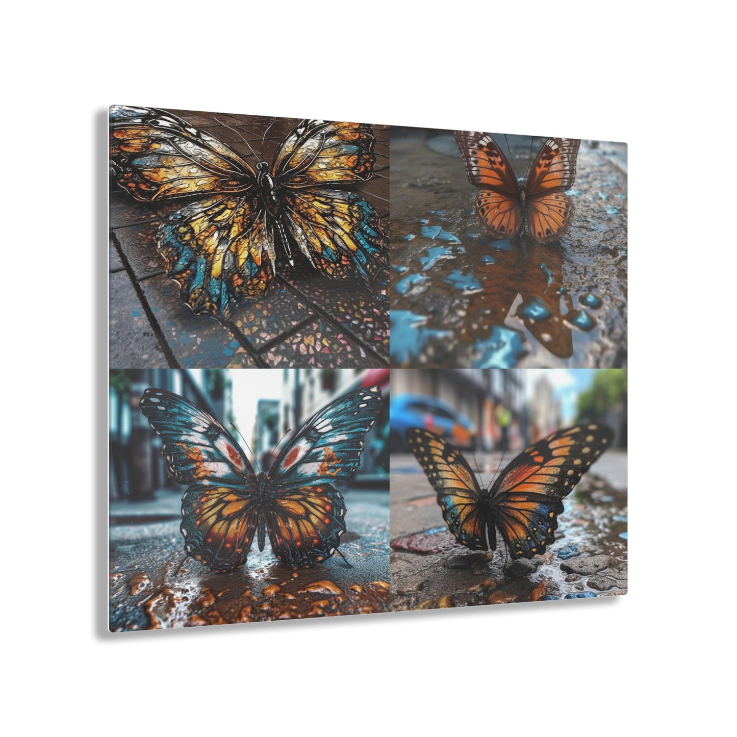 Acrylic Prints Water Butterfly Street 5