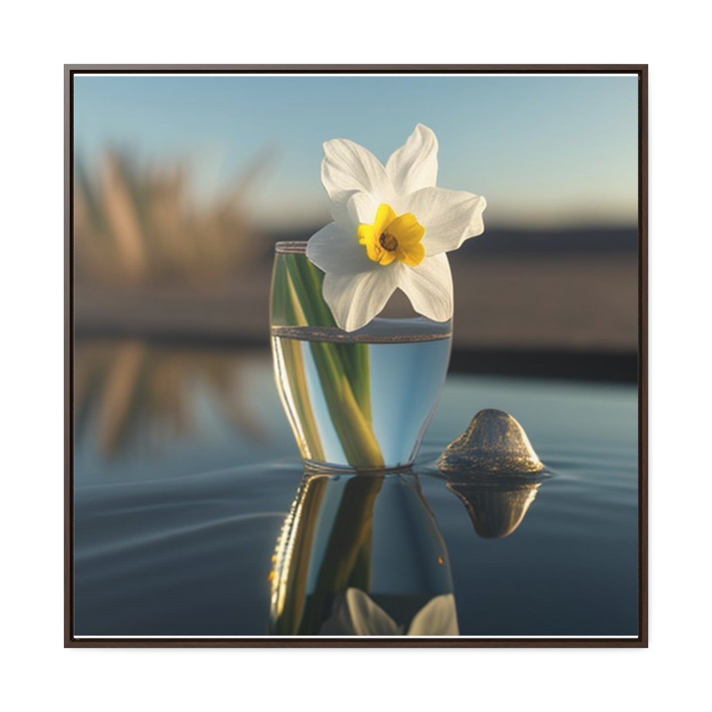 Gallery Canvas Wraps, Square Frame Daffodil 4