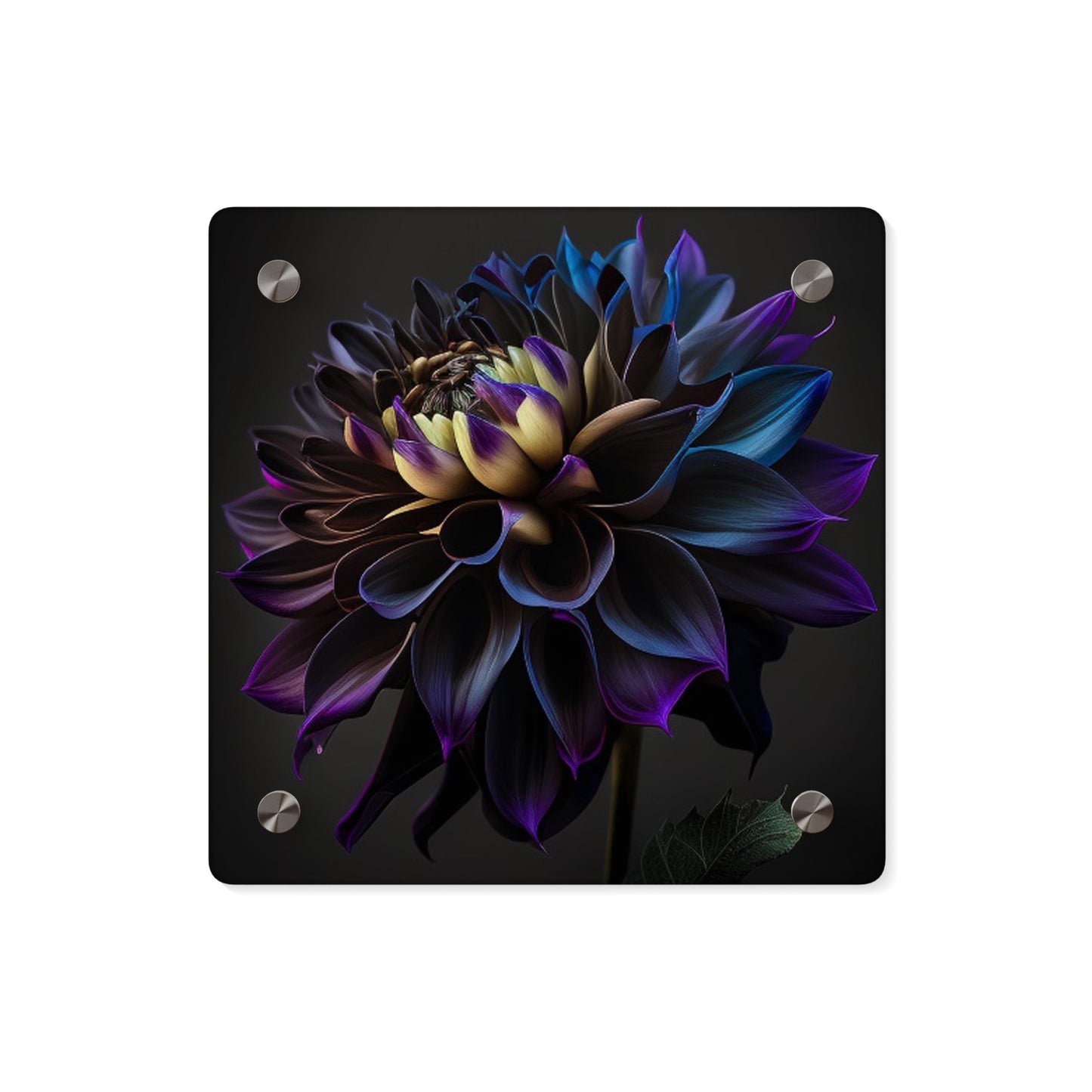 Acrylic Wall Art Panels Dahlia Purple 1