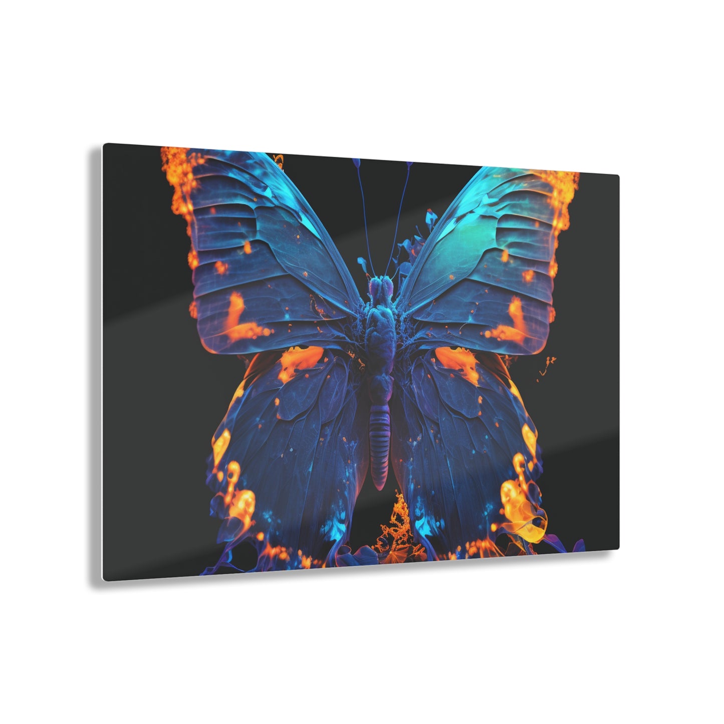 Acrylic Prints Thermal Butterfly 3