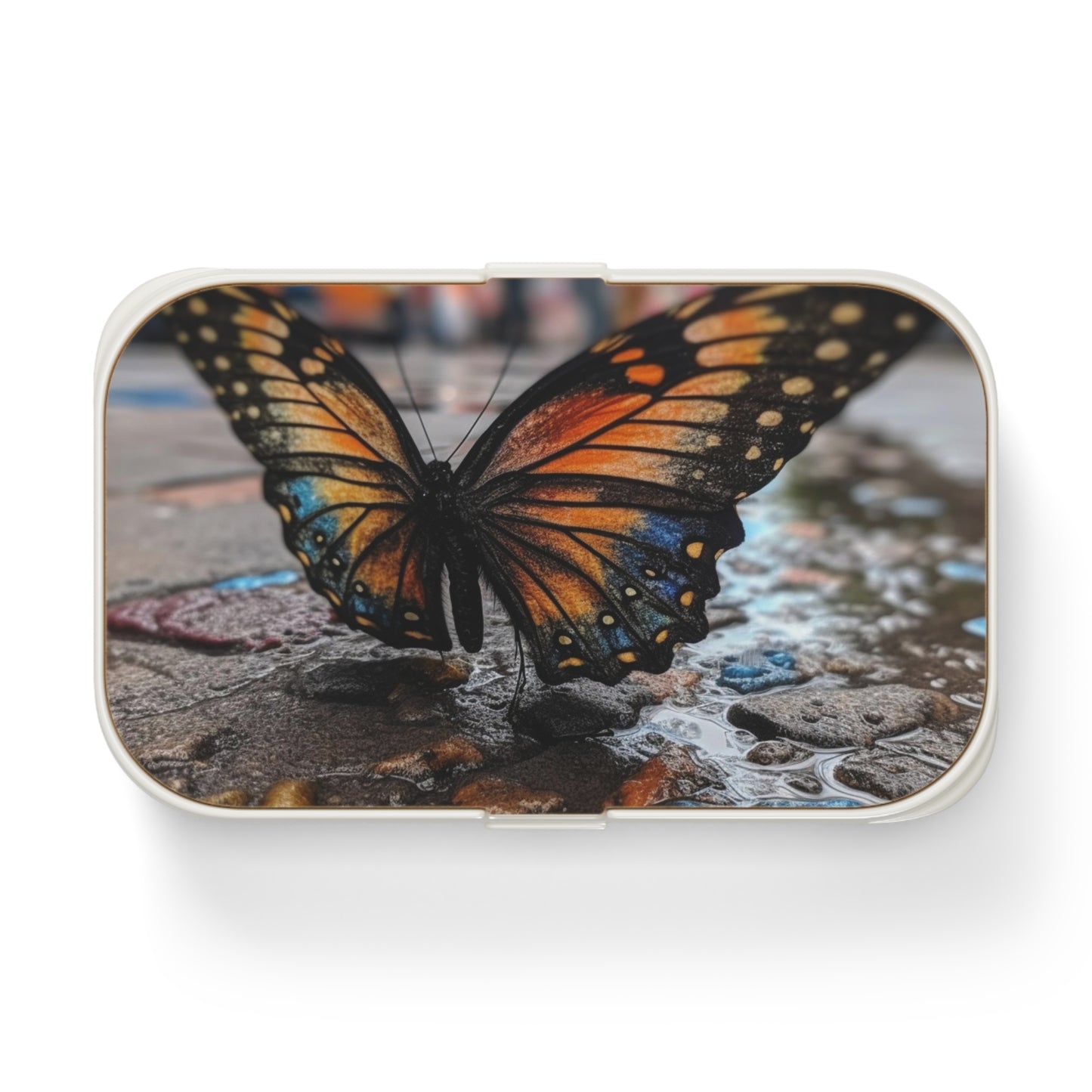 Bento Lunch Box Water Butterfly Street 4