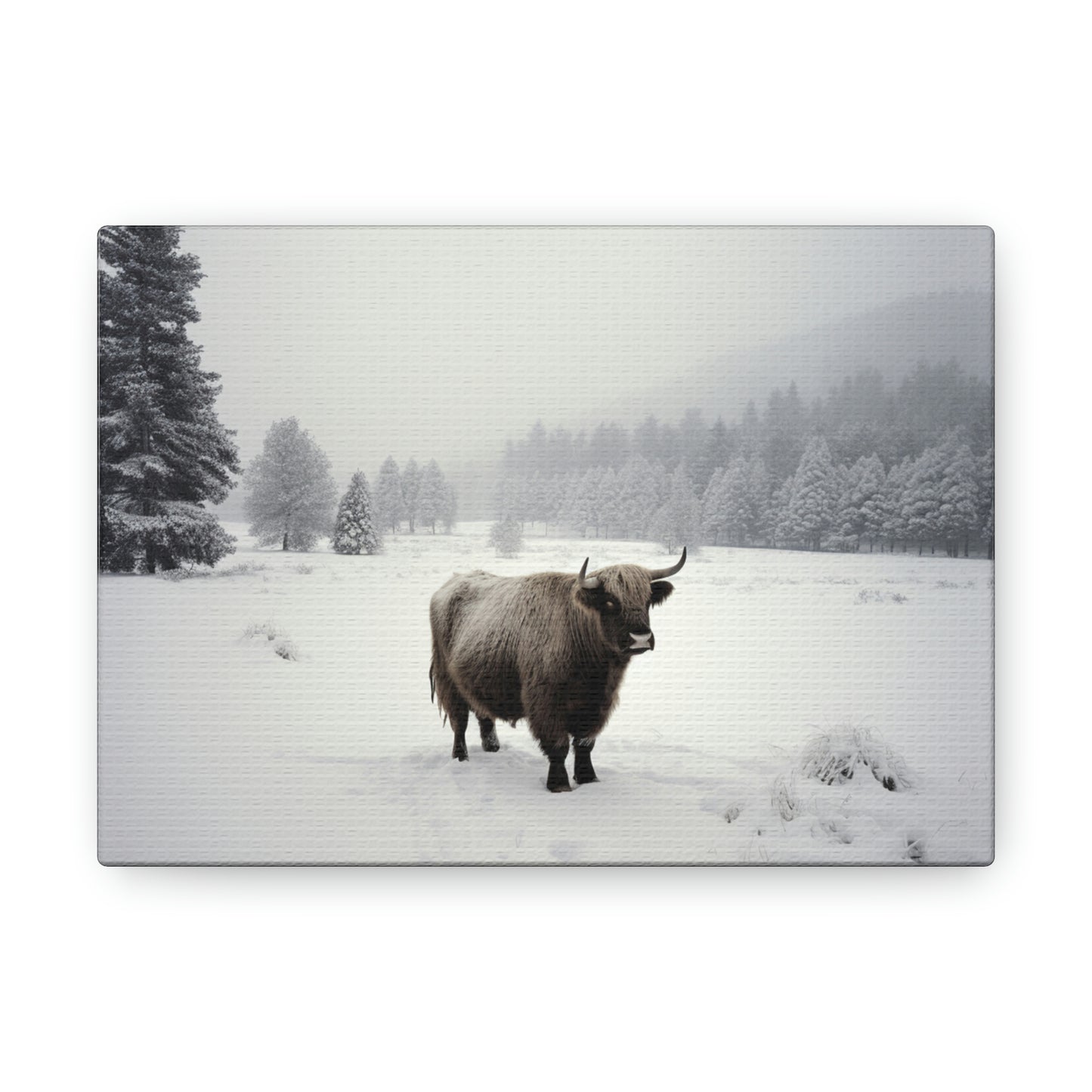 Canvas Gallery Wraps Cow Snow 4