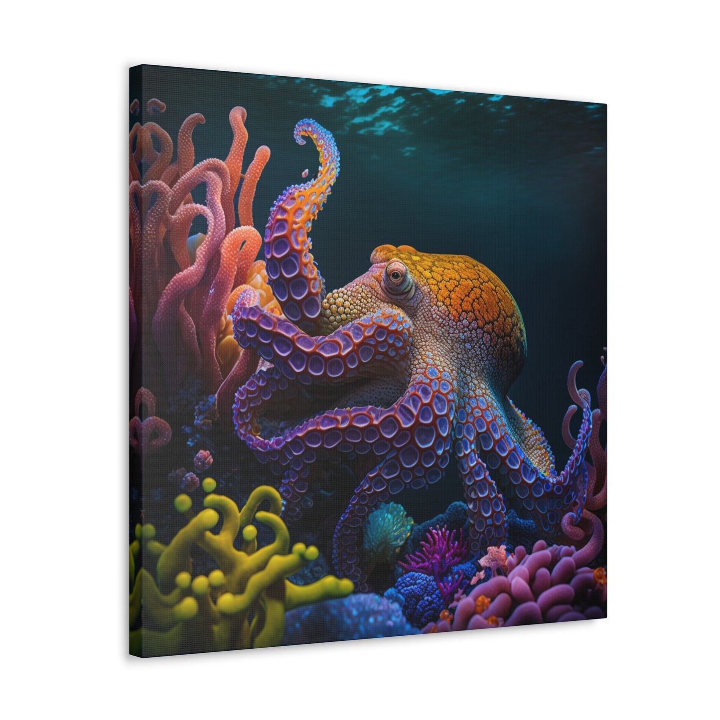Color Octopus 5