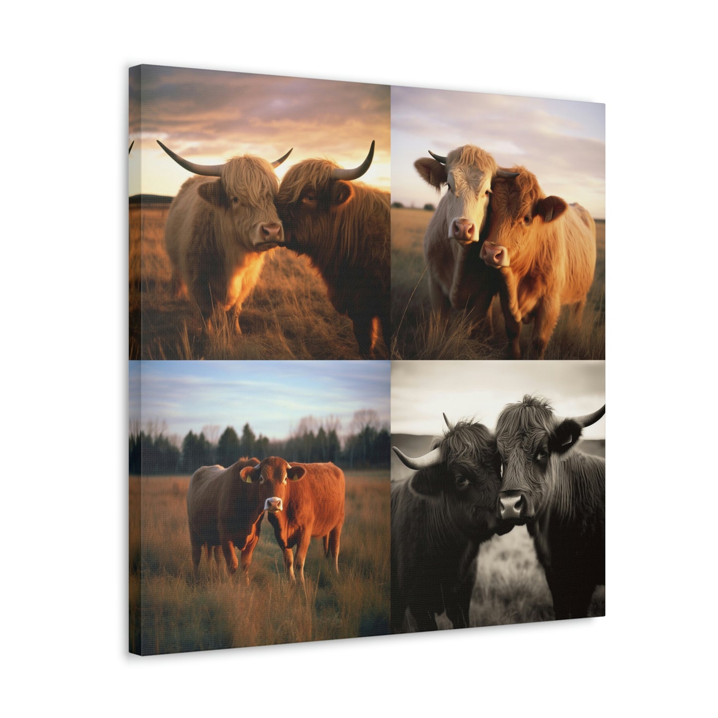 Canvas Gallery Wraps Cow Love 4 Pack