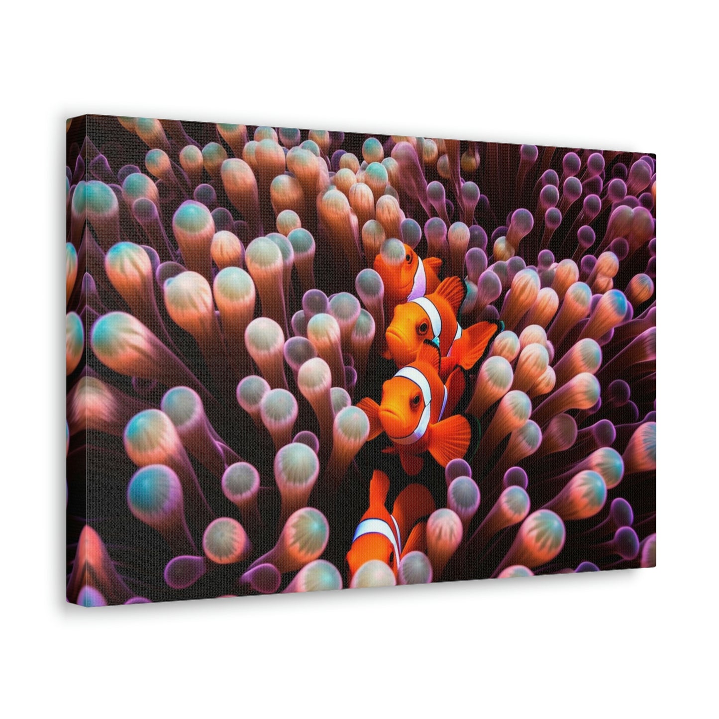 Canvas Gallery Wraps Clown Fish 3