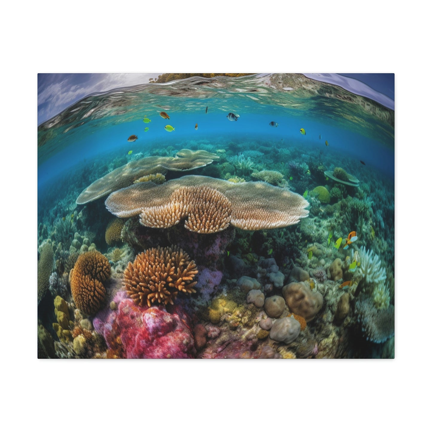Reef Coral 3