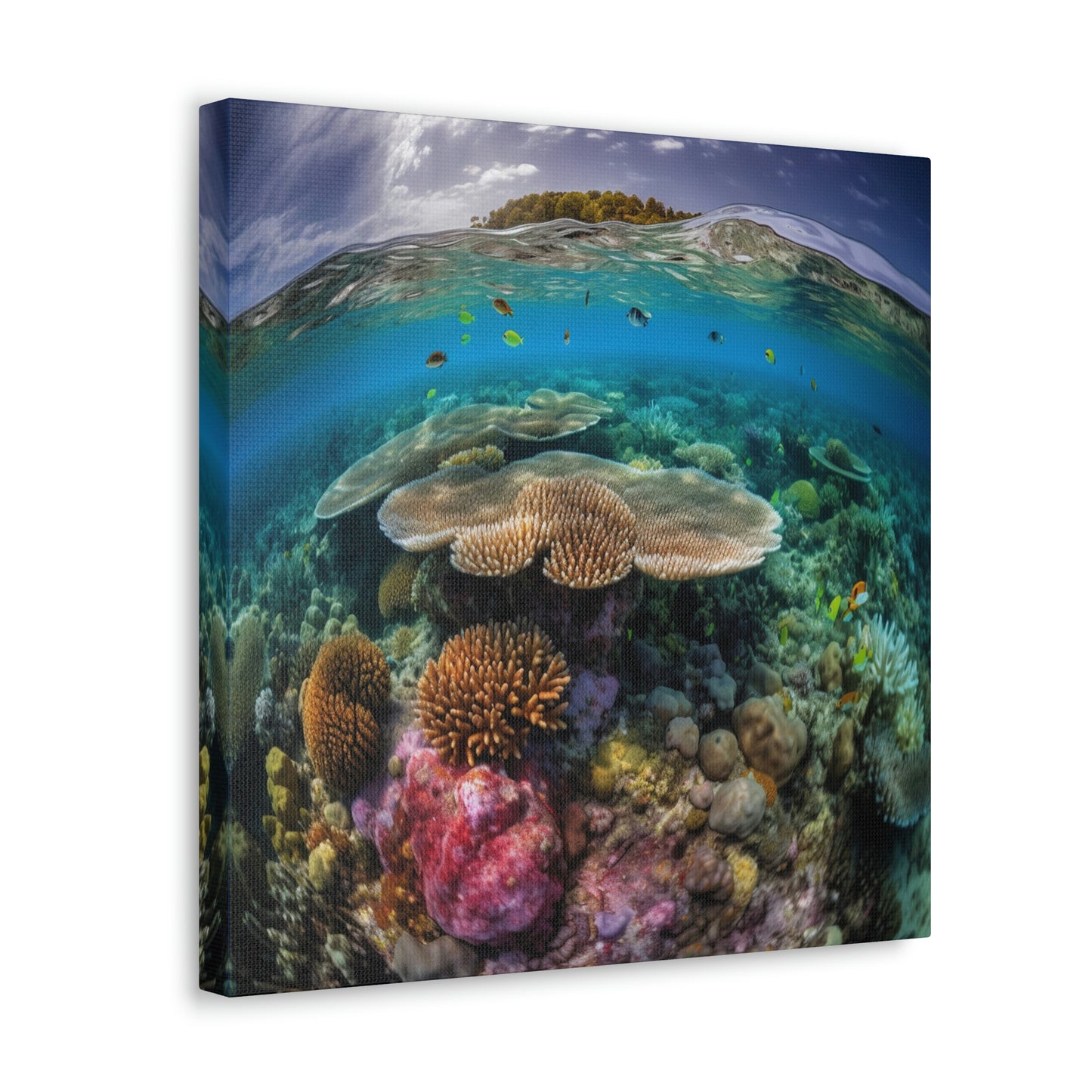 Reef Coral 3