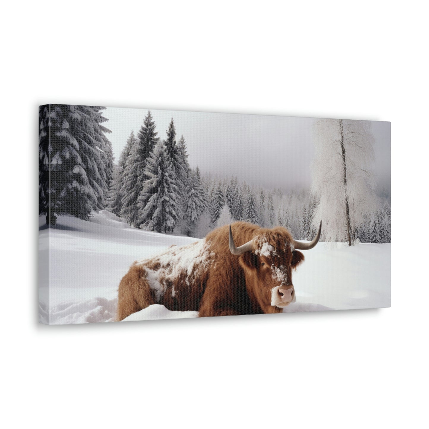 Canvas Gallery Wraps Cow Snow 2
