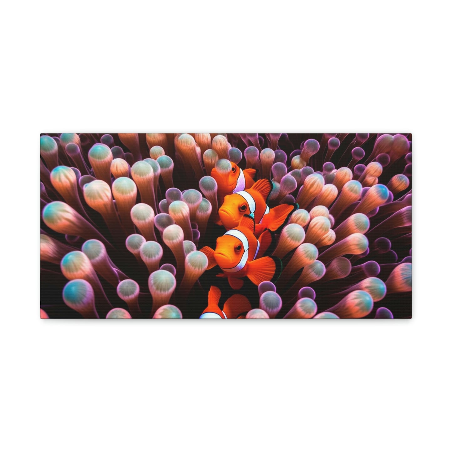 Canvas Gallery Wraps Clown Fish 3