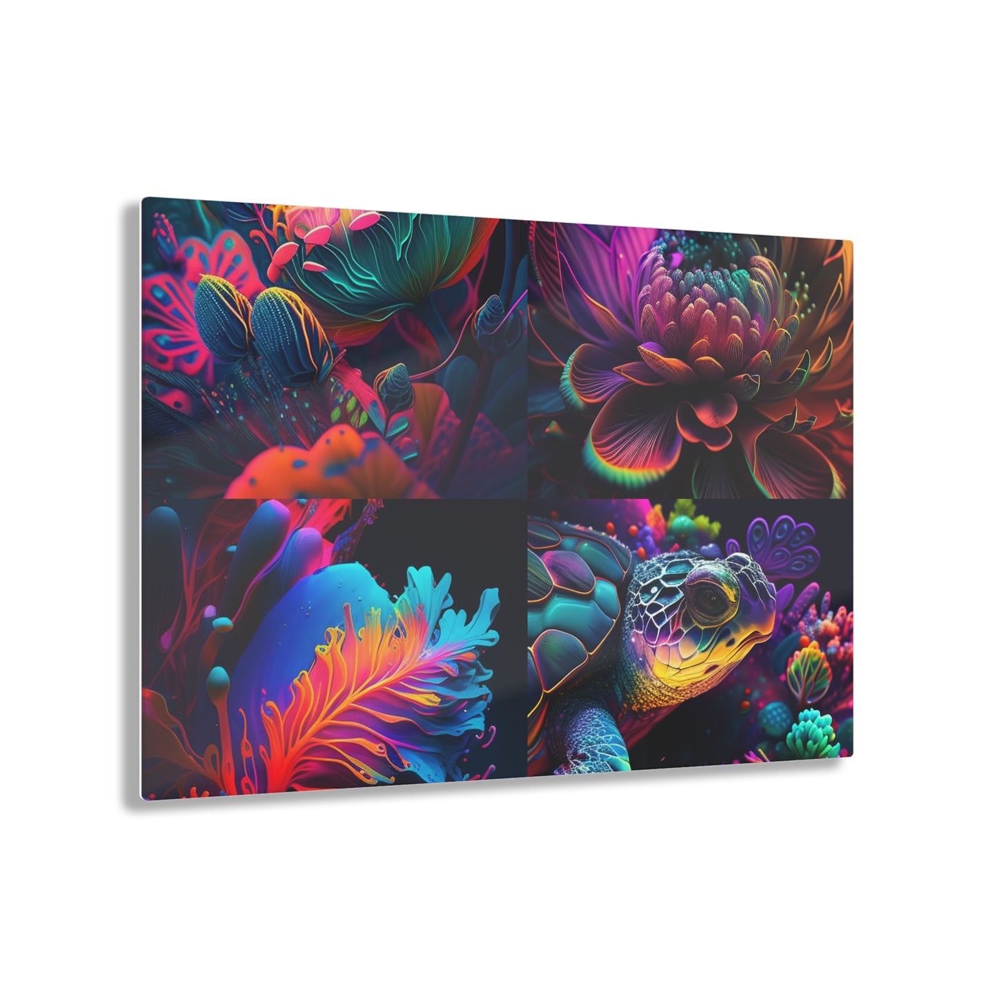 Acrylic Prints Macro Sea Life