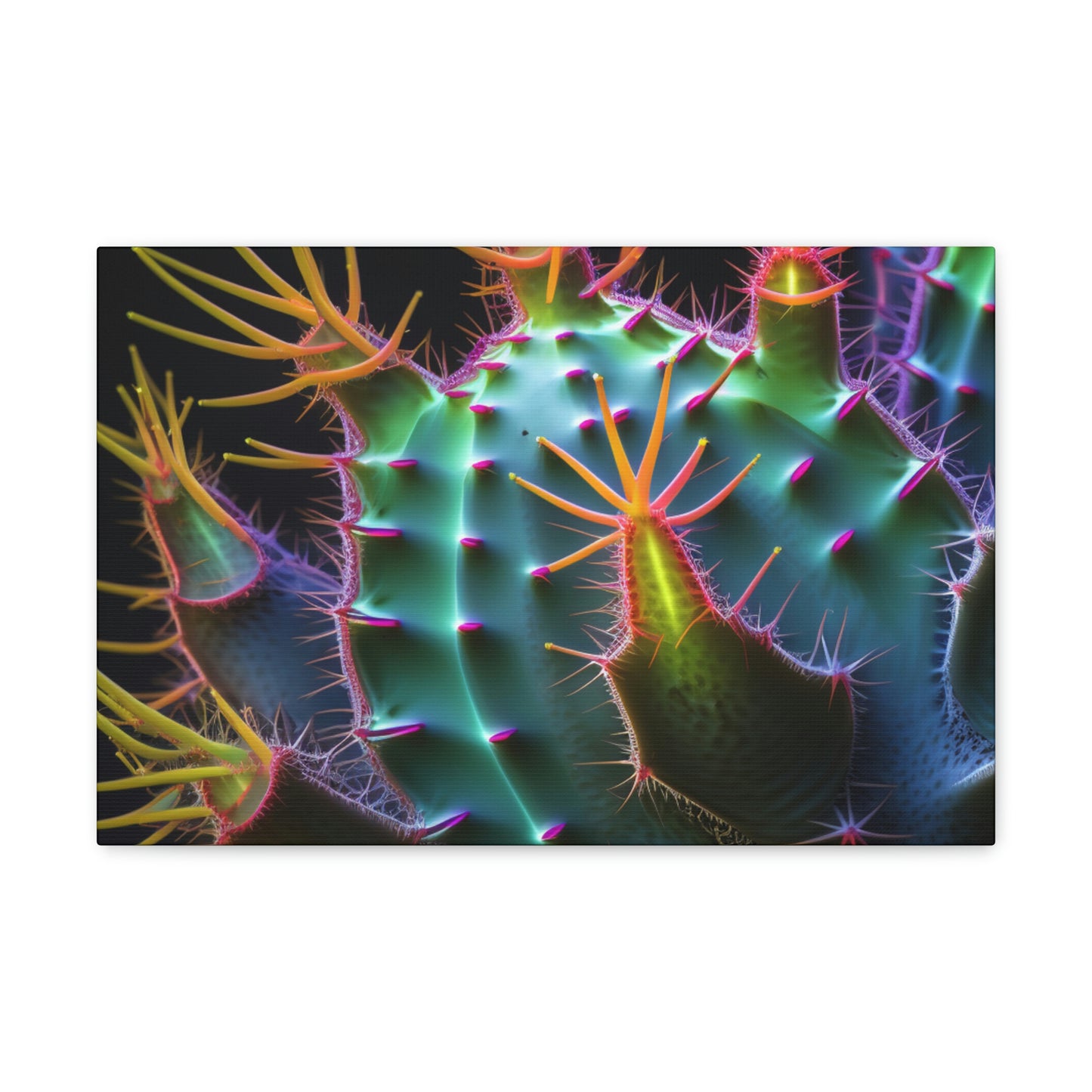 Macro Cactus 6